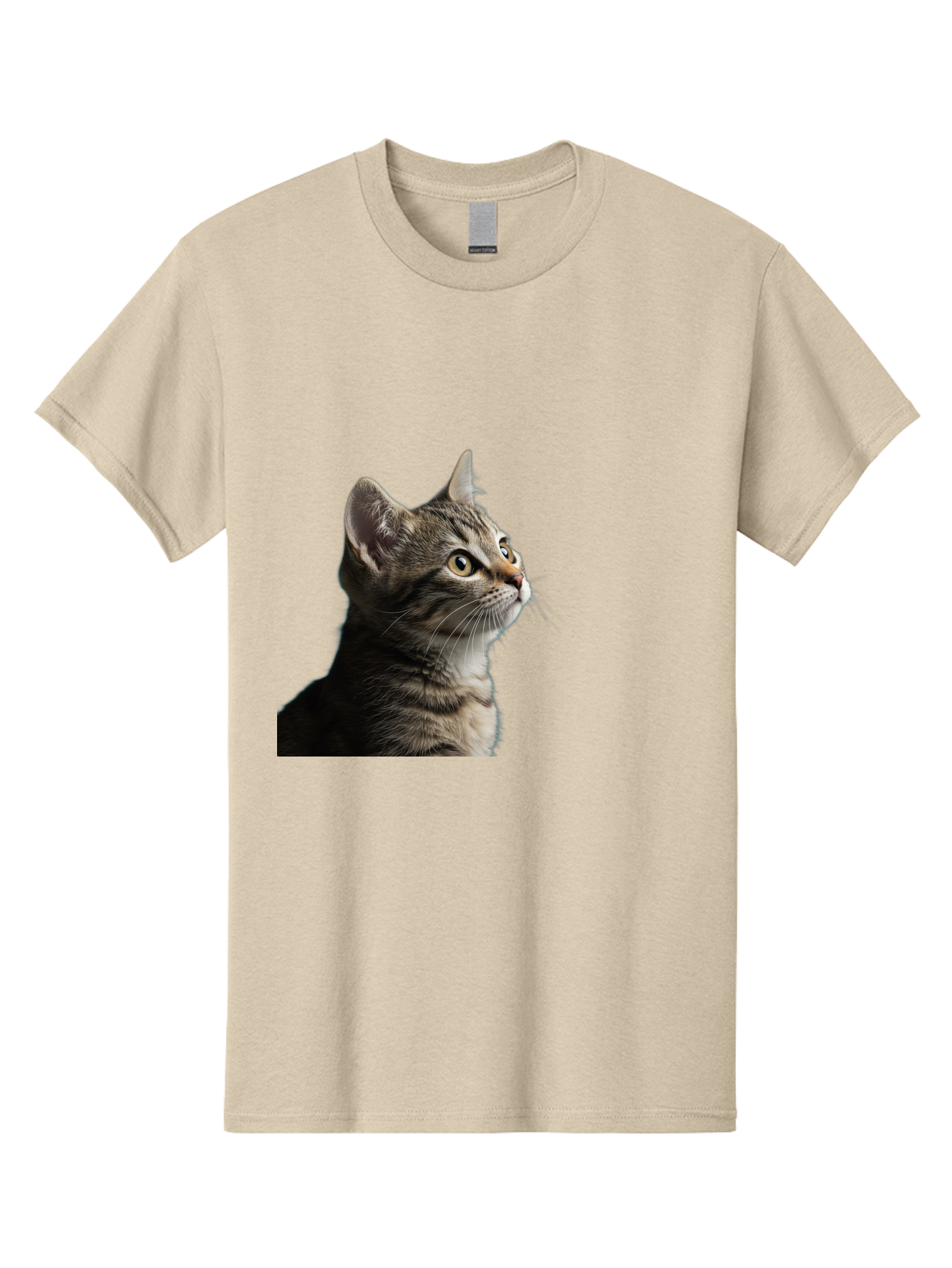 Cat-Looking-Up Men'S Graphic Tee, 100% Cotton, Comfortable Casual Summer Wear, Machine Washable, Vintage Camera, Old Camera, Antique Camera, Black Camera, Classic Photography, Photography Equipment, Nostalgic Device, Film Camera, Camera Art Bai633