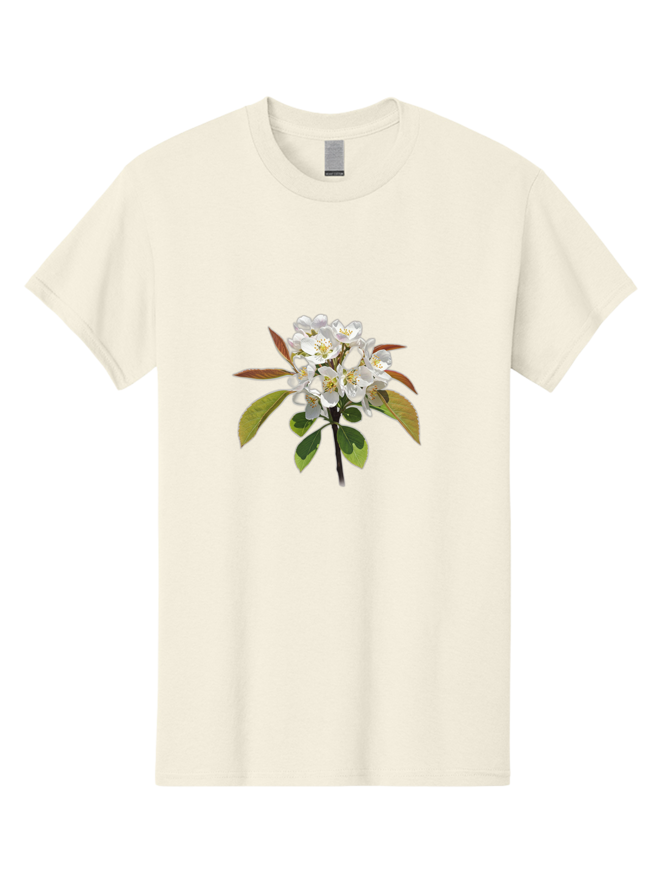 Pear-Blossom Men'S Graphic Tee, 100% Cotton, Comfortable Casual Summer Wear, Machine Washable, Vintage Camera, Old Camera, Antique Camera, Black Camera, Classic Photography, Photography Equipment, Nostalgic Device, Film Camera, Camera Art Baj157