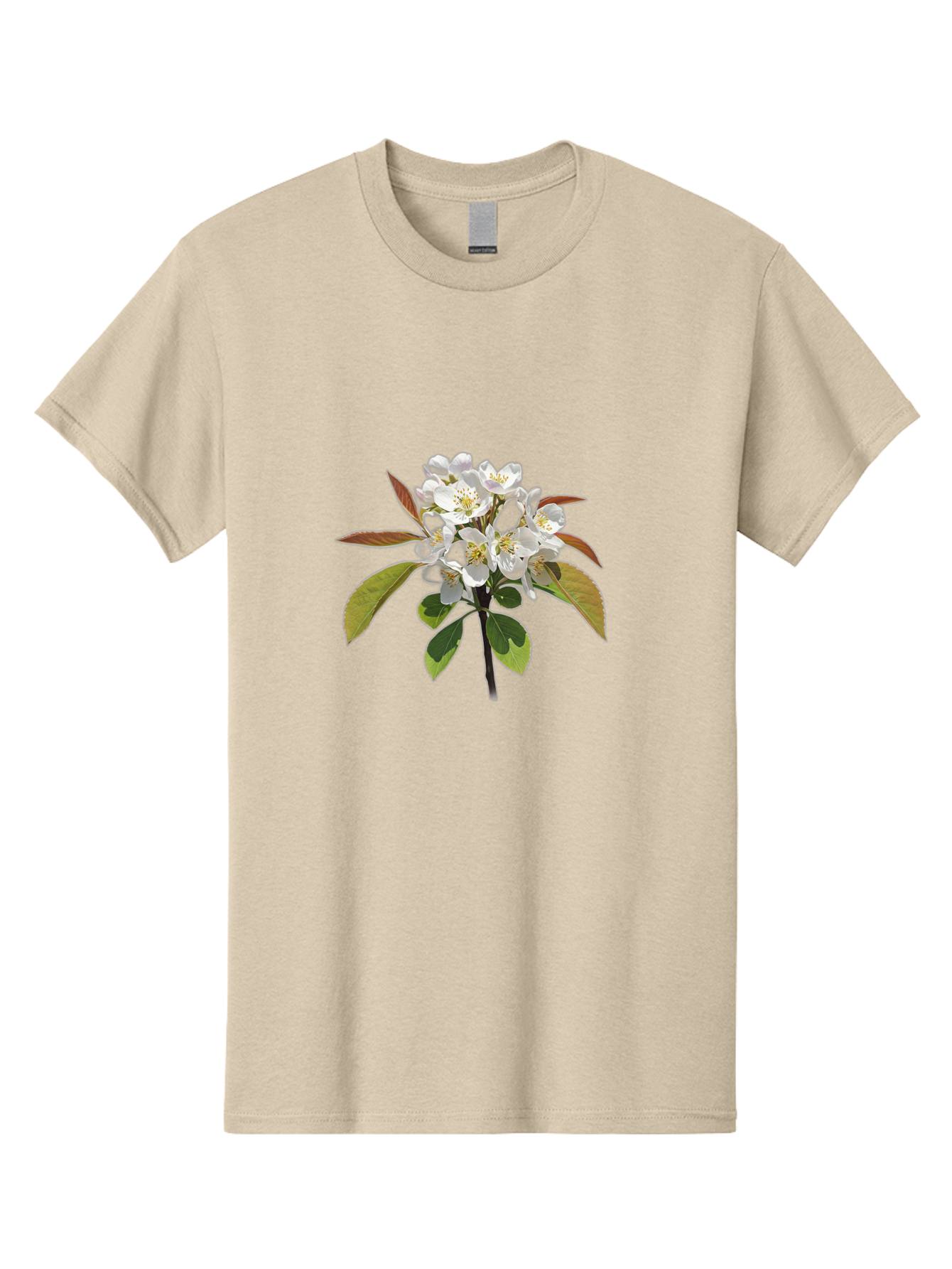 Pear-Blossom Men'S Graphic Tee, 100% Cotton, Comfortable Casual Summer Wear, Machine Washable, Vintage Camera, Old Camera, Antique Camera, Black Camera, Classic Photography, Photography Equipment, Nostalgic Device, Film Camera, Camera Art Baj157