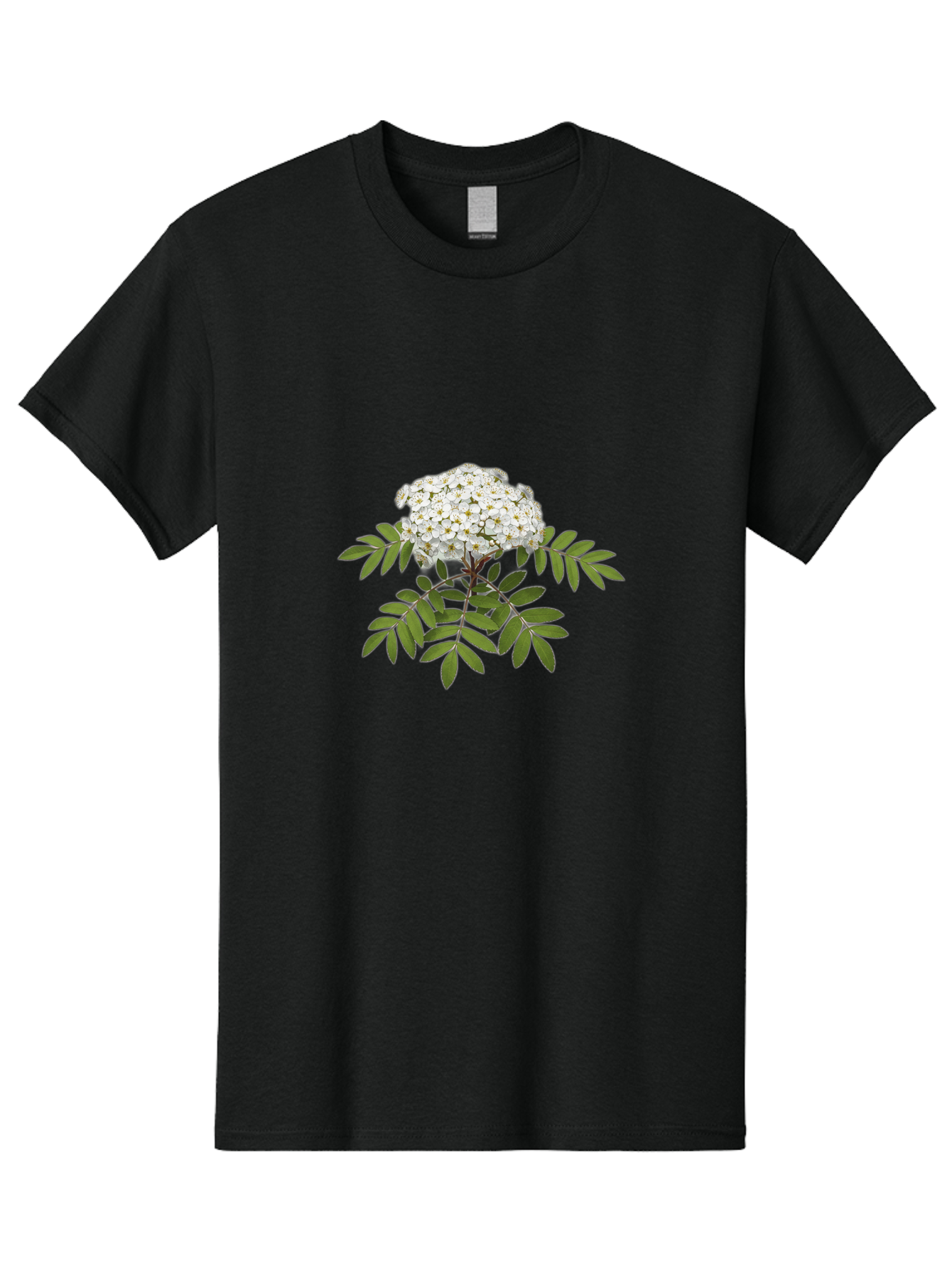 Rowan-Tree-Flowers Men'S Graphic Tee, 100% Cotton, Comfortable Casual Summer Wear, Machine Washable, Vintage Camera, Old Camera, Antique Camera, Black Camera, Classic Photography, Photography Equipment, Nostalgic Device, Film Camera, Baj244