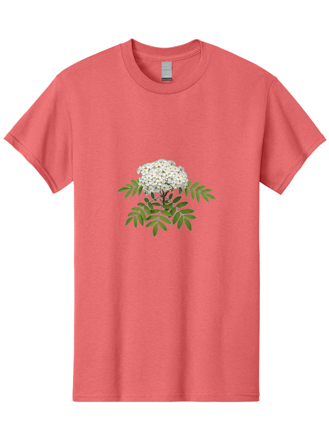 Rowan-Tree-Flowers Men'S Graphic Tee, 100% Cotton, Comfortable Casual Summer Wear, Machine Washable, Vintage Camera, Old Camera, Antique Camera, Black Camera, Classic Photography, Photography Equipment, Nostalgic Device, Film Camera, Baj244