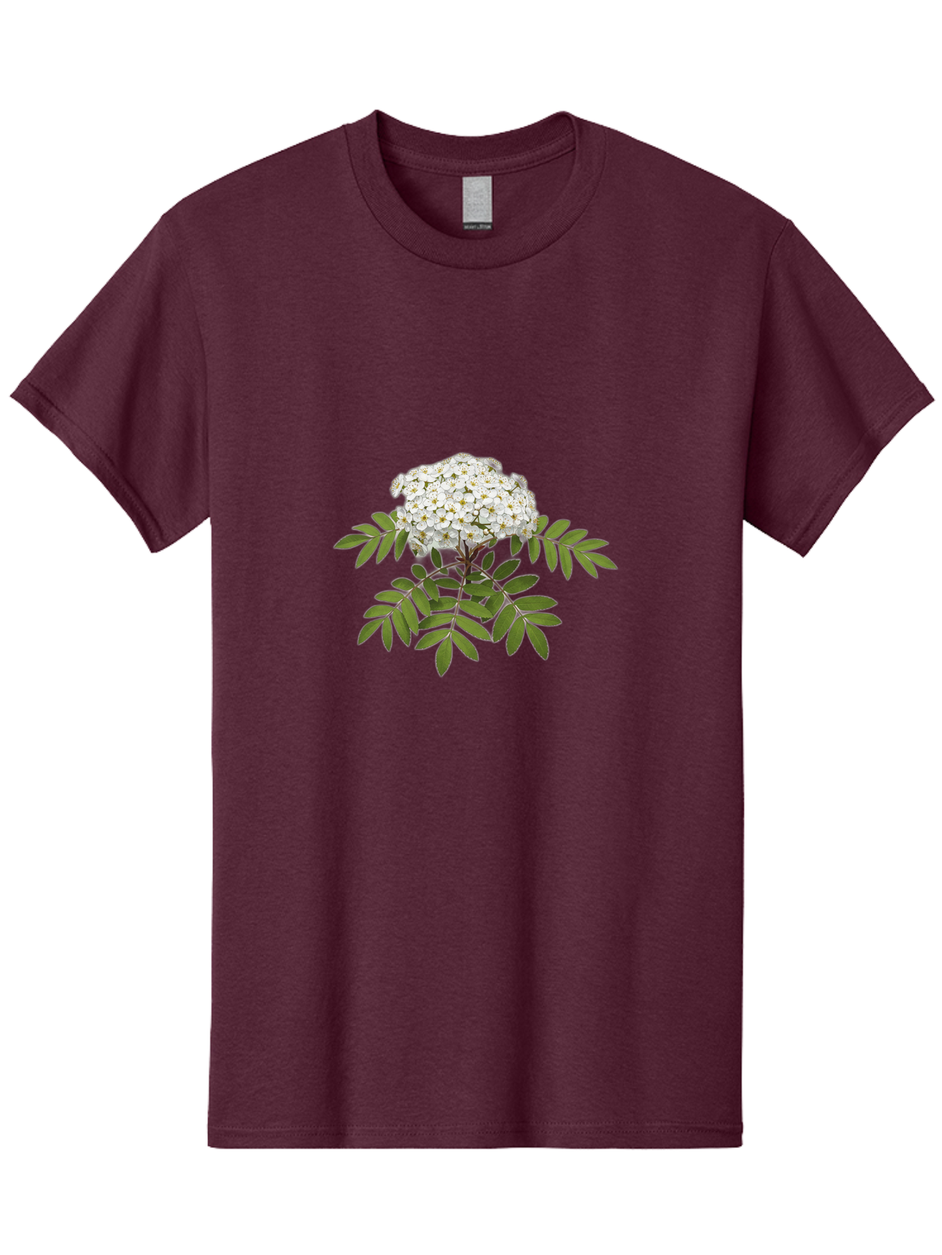 Rowan-Tree-Flowers Men'S Graphic Tee, 100% Cotton, Comfortable Casual Summer Wear, Machine Washable, Vintage Camera, Old Camera, Antique Camera, Black Camera, Classic Photography, Photography Equipment, Nostalgic Device, Film Camera, Baj244