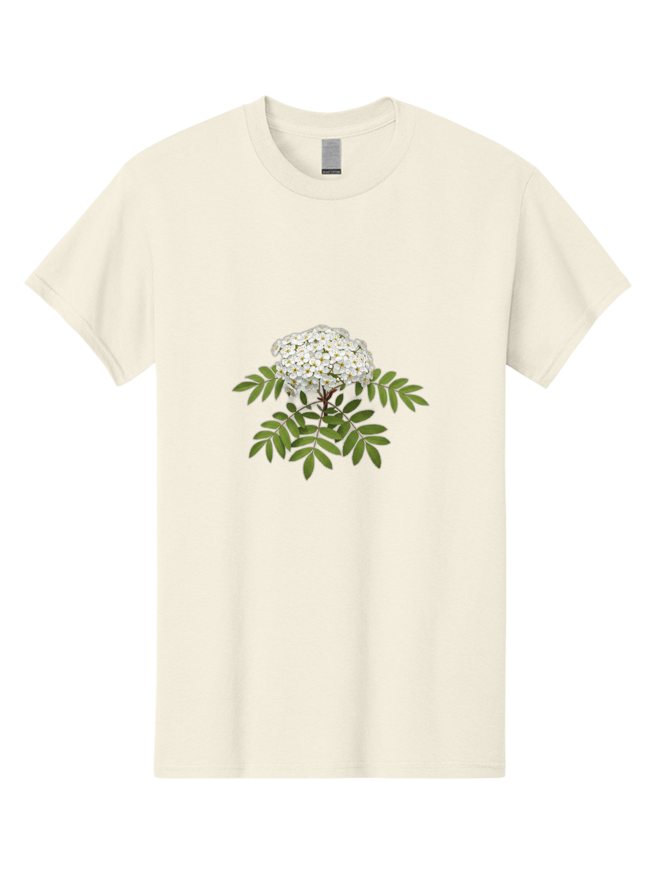 Rowan-Tree-Flowers Men'S Graphic Tee, 100% Cotton, Comfortable Casual Summer Wear, Machine Washable, Vintage Camera, Old Camera, Antique Camera, Black Camera, Classic Photography, Photography Equipment, Nostalgic Device, Film Camera, Baj244