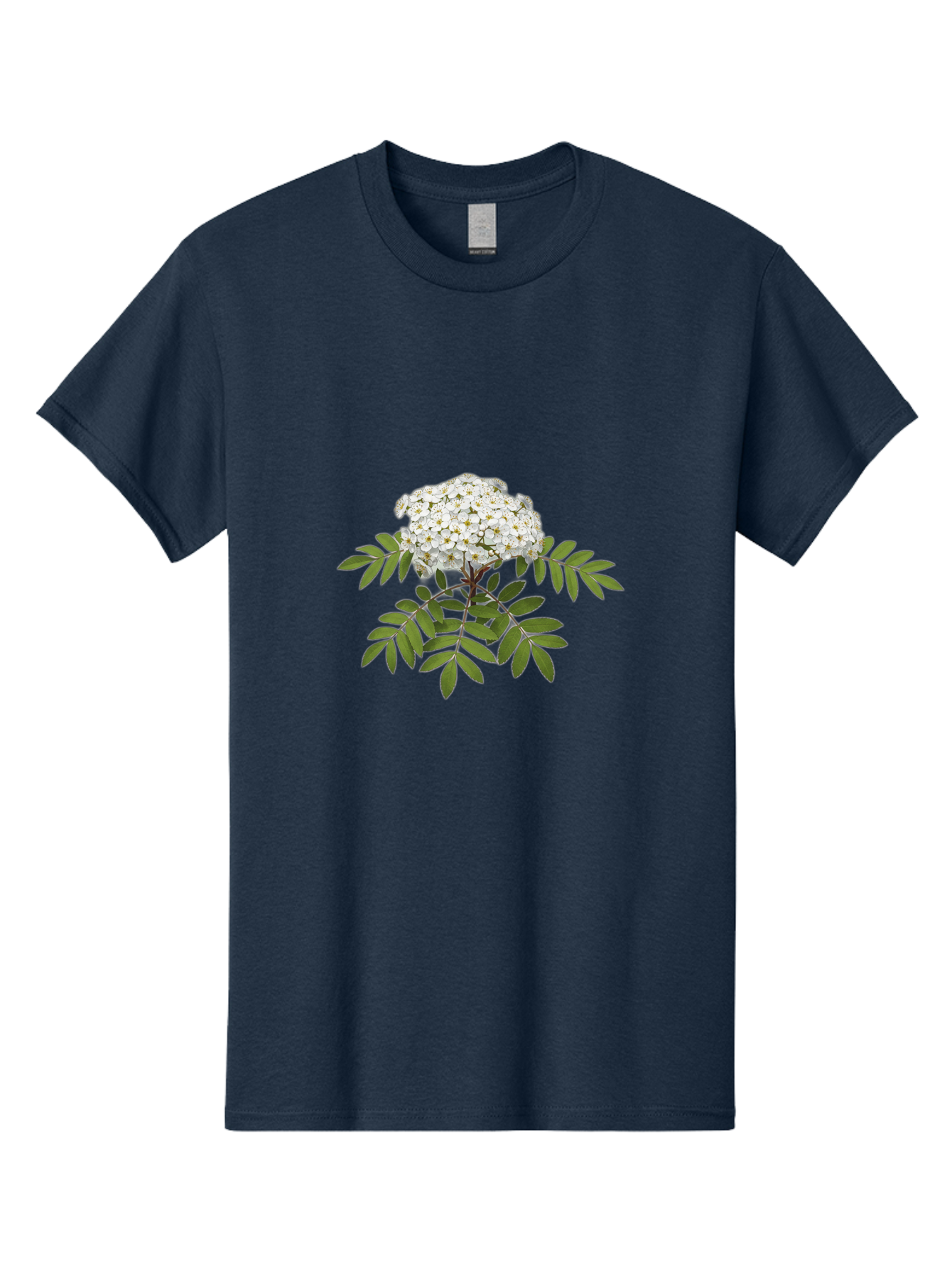 Rowan-Tree-Flowers Men'S Graphic Tee, 100% Cotton, Comfortable Casual Summer Wear, Machine Washable, Vintage Camera, Old Camera, Antique Camera, Black Camera, Classic Photography, Photography Equipment, Nostalgic Device, Film Camera, Baj244