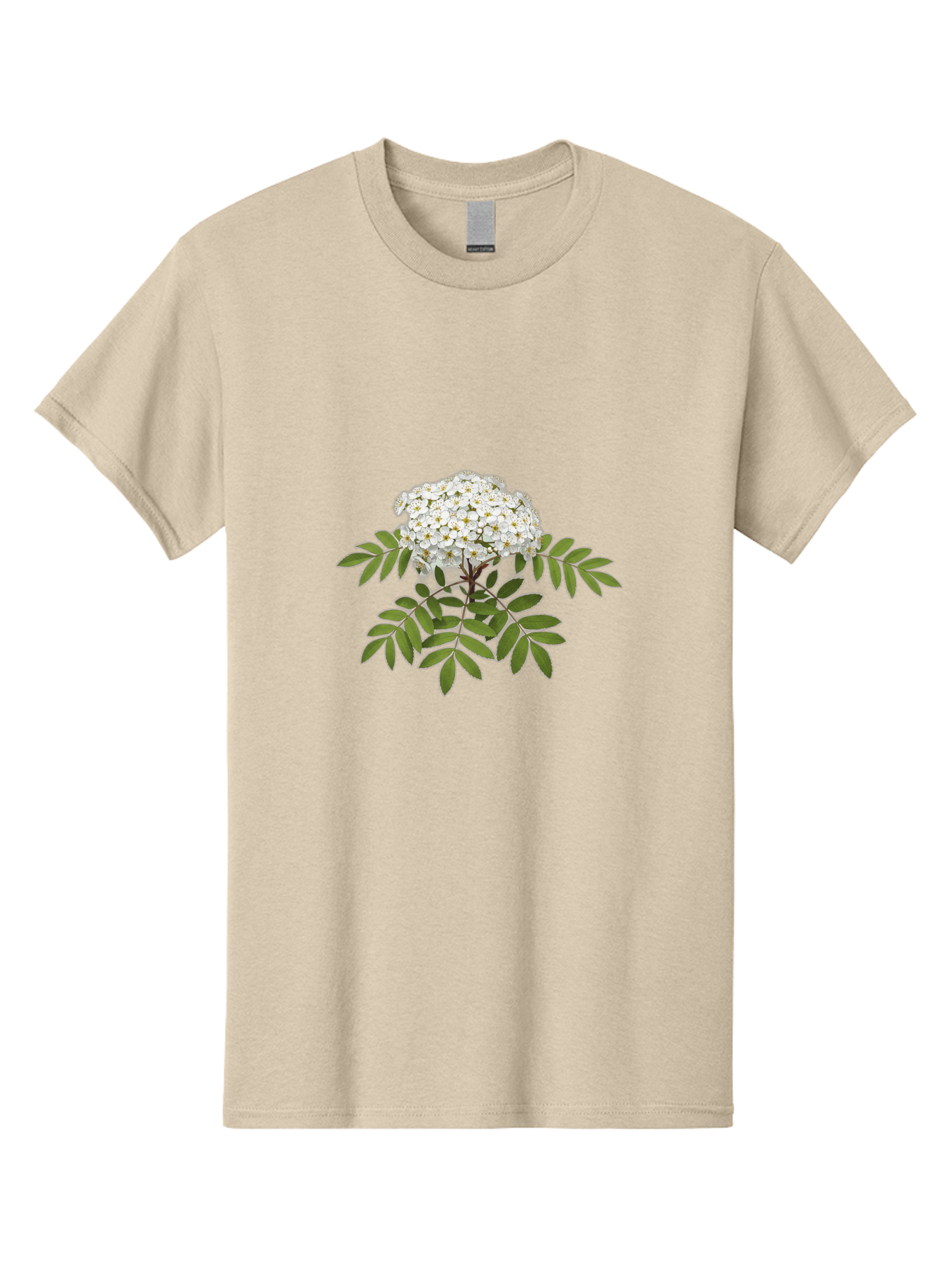 Rowan-Tree-Flowers Men'S Graphic Tee, 100% Cotton, Comfortable Casual Summer Wear, Machine Washable, Vintage Camera, Old Camera, Antique Camera, Black Camera, Classic Photography, Photography Equipment, Nostalgic Device, Film Camera, Baj244