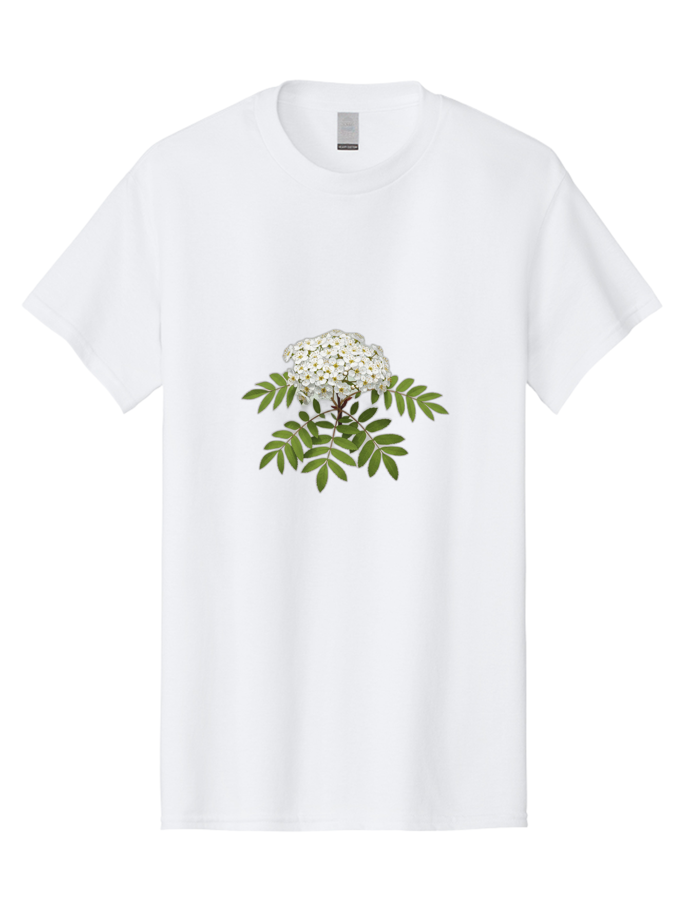Rowan-Tree-Flowers Men'S Graphic Tee, 100% Cotton, Comfortable Casual Summer Wear, Machine Washable, Vintage Camera, Old Camera, Antique Camera, Black Camera, Classic Photography, Photography Equipment, Nostalgic Device, Film Camera, Baj244