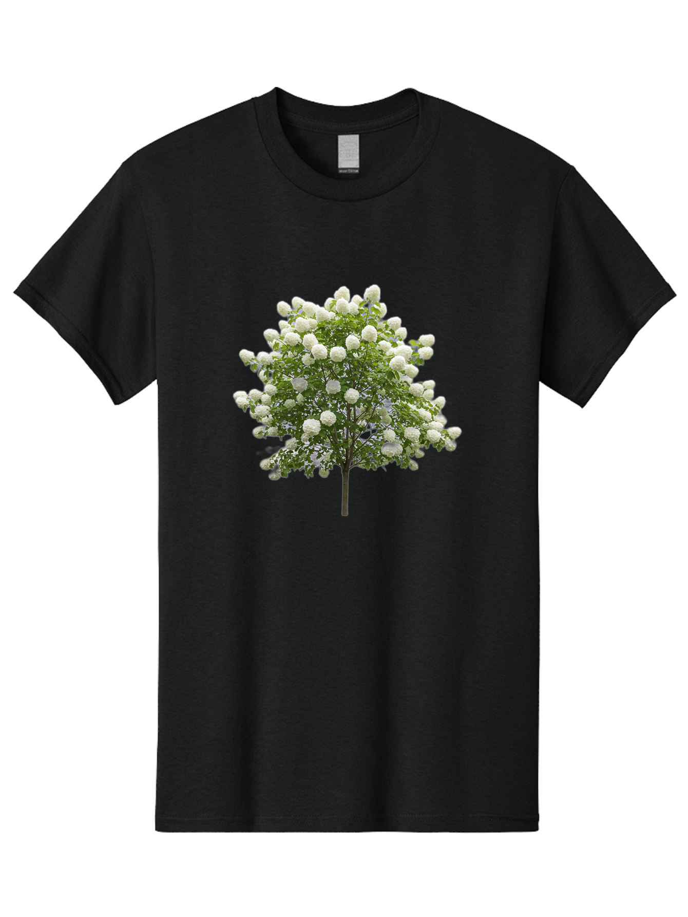 Tree-With-White-Flowers Men'S Graphic Tee, 100% Cotton, Comfortable Casual Summer Wear, Machine Washable, Vintage Camera, Old Camera, Antique Camera, Black Camera, Classic Photography, Photography Equipment, Nostalgic Device, Film Camera, Baj277