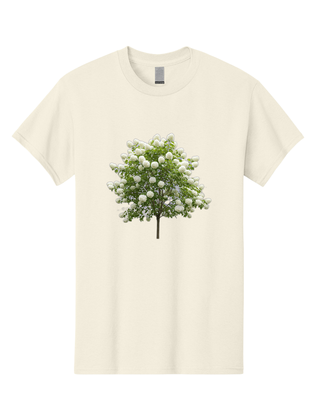 Tree-With-White-Flowers Men'S Graphic Tee, 100% Cotton, Comfortable Casual Summer Wear, Machine Washable, Vintage Camera, Old Camera, Antique Camera, Black Camera, Classic Photography, Photography Equipment, Nostalgic Device, Film Camera, Baj277