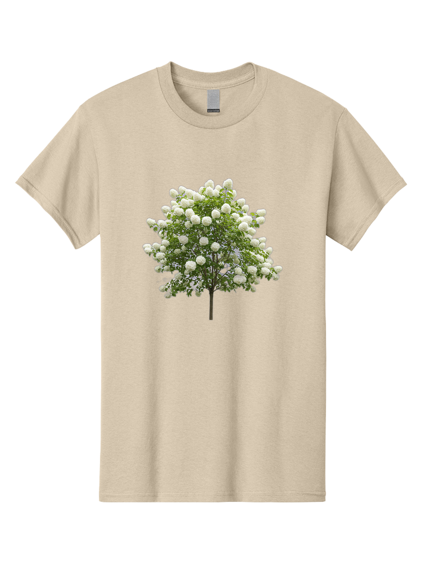Tree-With-White-Flowers Men'S Graphic Tee, 100% Cotton, Comfortable Casual Summer Wear, Machine Washable, Vintage Camera, Old Camera, Antique Camera, Black Camera, Classic Photography, Photography Equipment, Nostalgic Device, Film Camera, Baj277