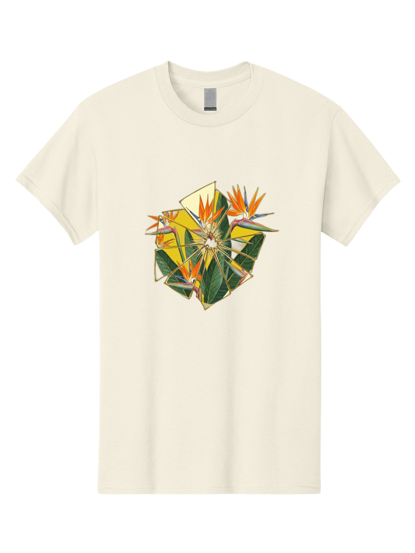 Bird-Of-Paradise Men'S Graphic Tee, 100% Cotton, Comfortable Casual Summer Wear, Machine Washable, Vintage Camera, Old Camera, Antique Camera, Black Camera, Classic Photography, Photography Equipment, Nostalgic Device, Film Camera, Camera Art Bak052