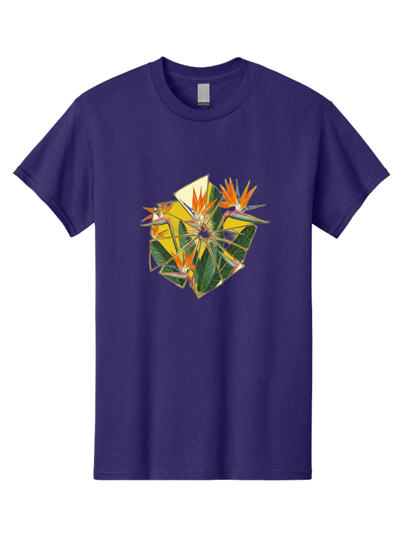 Bird-Of-Paradise Men'S Graphic Tee, 100% Cotton, Comfortable Casual Summer Wear, Machine Washable, Vintage Camera, Old Camera, Antique Camera, Black Camera, Classic Photography, Photography Equipment, Nostalgic Device, Film Camera, Camera Art Bak052