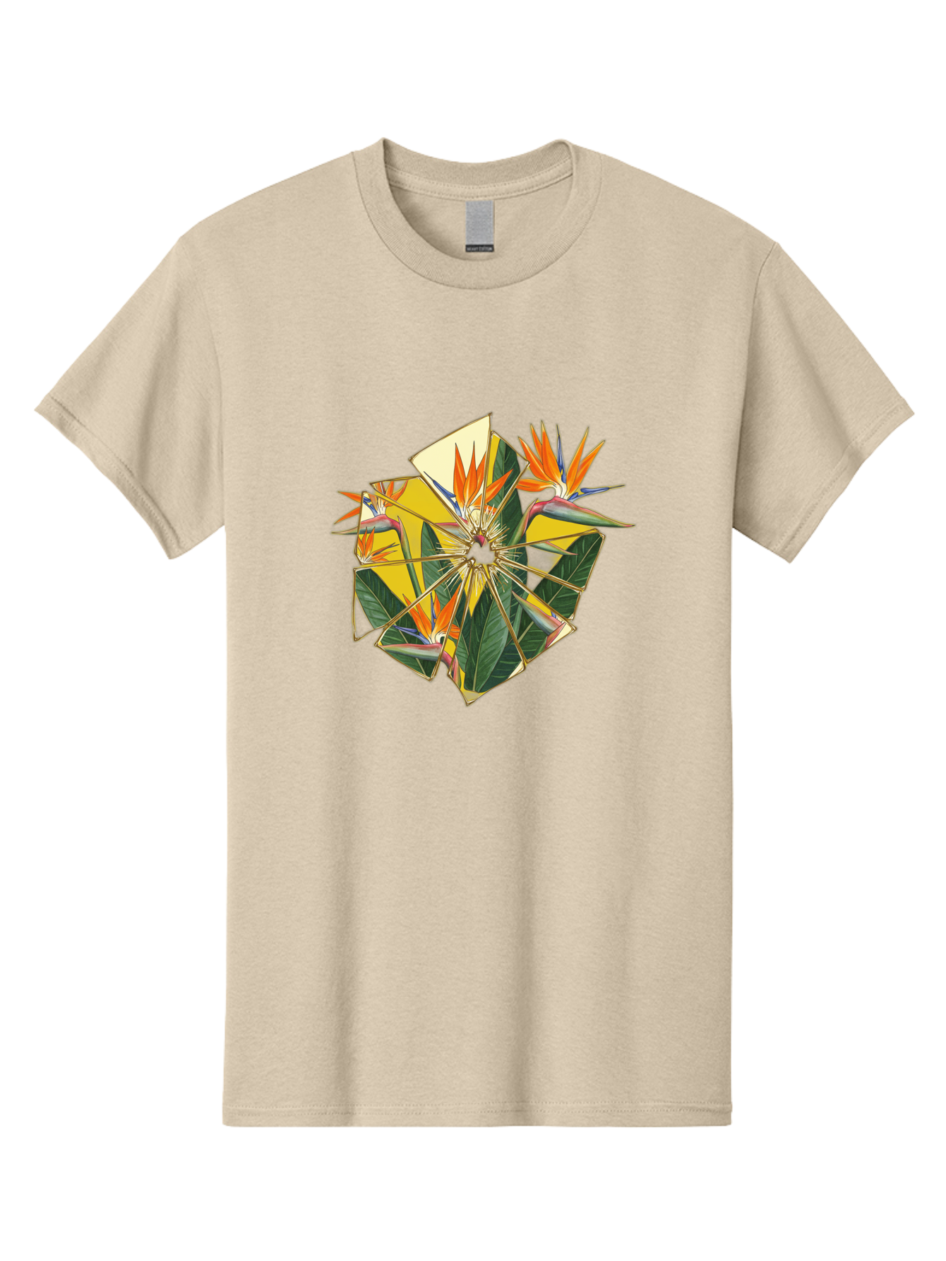 Bird-Of-Paradise Men'S Graphic Tee, 100% Cotton, Comfortable Casual Summer Wear, Machine Washable, Vintage Camera, Old Camera, Antique Camera, Black Camera, Classic Photography, Photography Equipment, Nostalgic Device, Film Camera, Camera Art Bak052