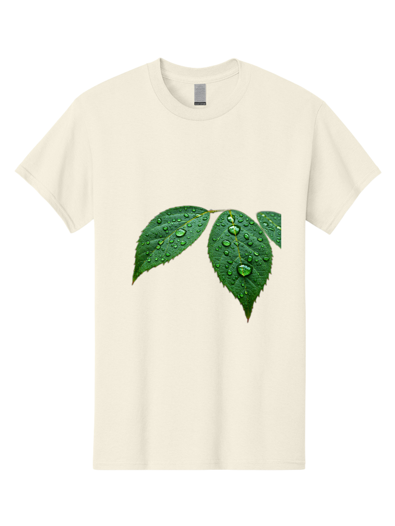 Leaves-With-Water-Droplets Men'S Graphic Tee, 100% Cotton, Comfortable Casual Summer Wear, Machine Washable, Vintage Camera, Old Camera, Antique Camera, Black Camera, Classic Photography, Photography Equipment, Nostalgic Device, Film Camera, Bak803