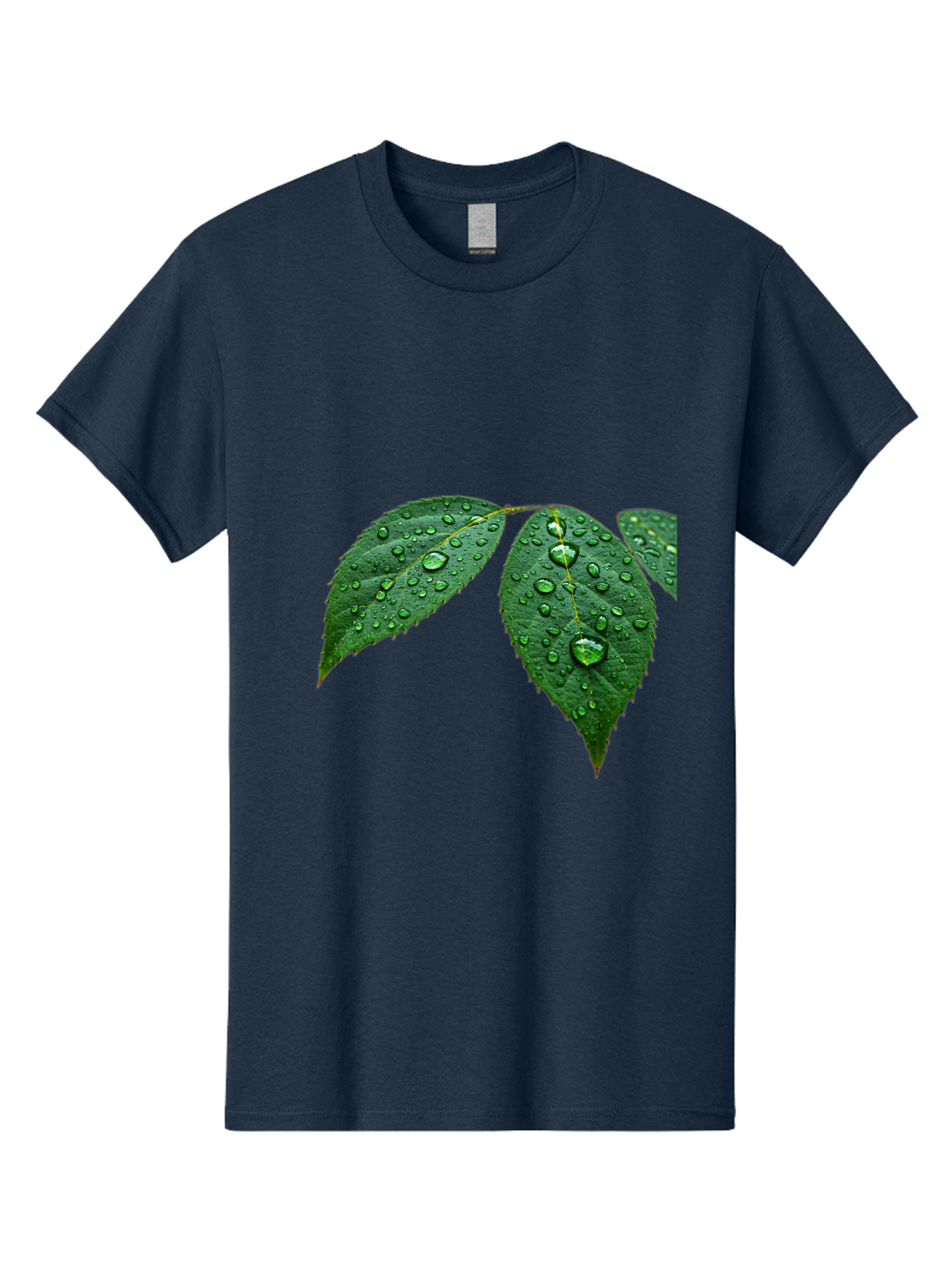 Leaves-With-Water-Droplets Men'S Graphic Tee, 100% Cotton, Comfortable Casual Summer Wear, Machine Washable, Vintage Camera, Old Camera, Antique Camera, Black Camera, Classic Photography, Photography Equipment, Nostalgic Device, Film Camera, Bak803