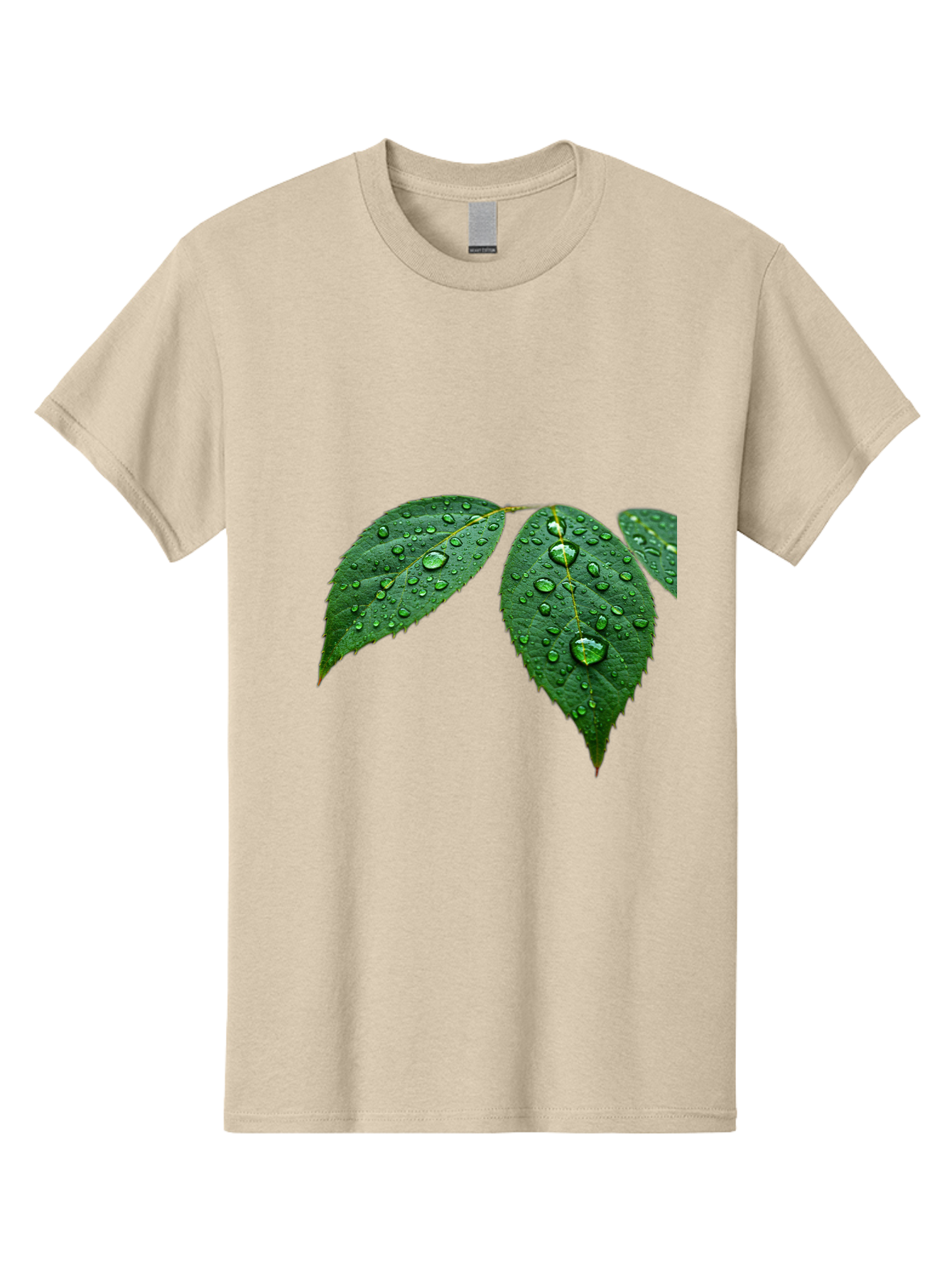 Leaves-With-Water-Droplets Men'S Graphic Tee, 100% Cotton, Comfortable Casual Summer Wear, Machine Washable, Vintage Camera, Old Camera, Antique Camera, Black Camera, Classic Photography, Photography Equipment, Nostalgic Device, Film Camera, Bak803