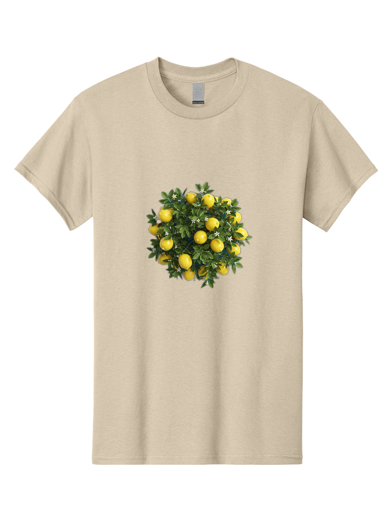 Lemons Men'S Graphic Tee, 100% Cotton, Comfortable Casual Summer Wear, Machine Washable, Vintage Camera, Old Camera, Antique Camera, Black Camera, Classic Photography, Photography Equipment, Nostalgic Device, Film Camera, Camera Art Bak811