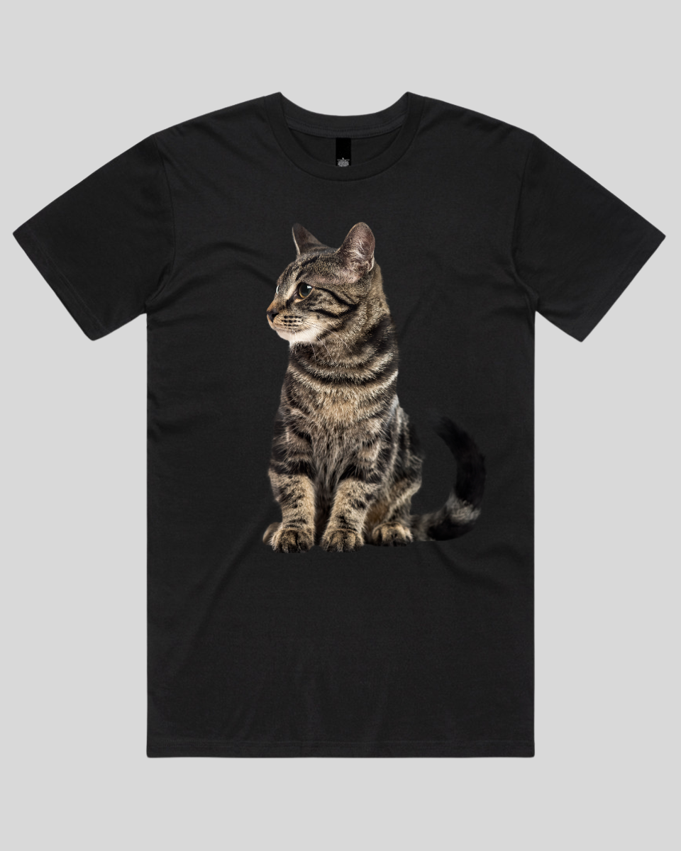 Alert Cat Women's T-Shirt
