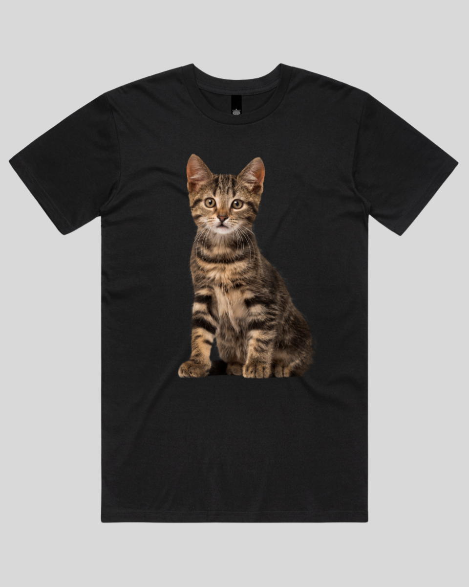Interesting Cat Women's T-Shirt