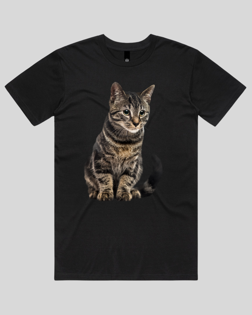 Focused Cat Women's T-Shirt