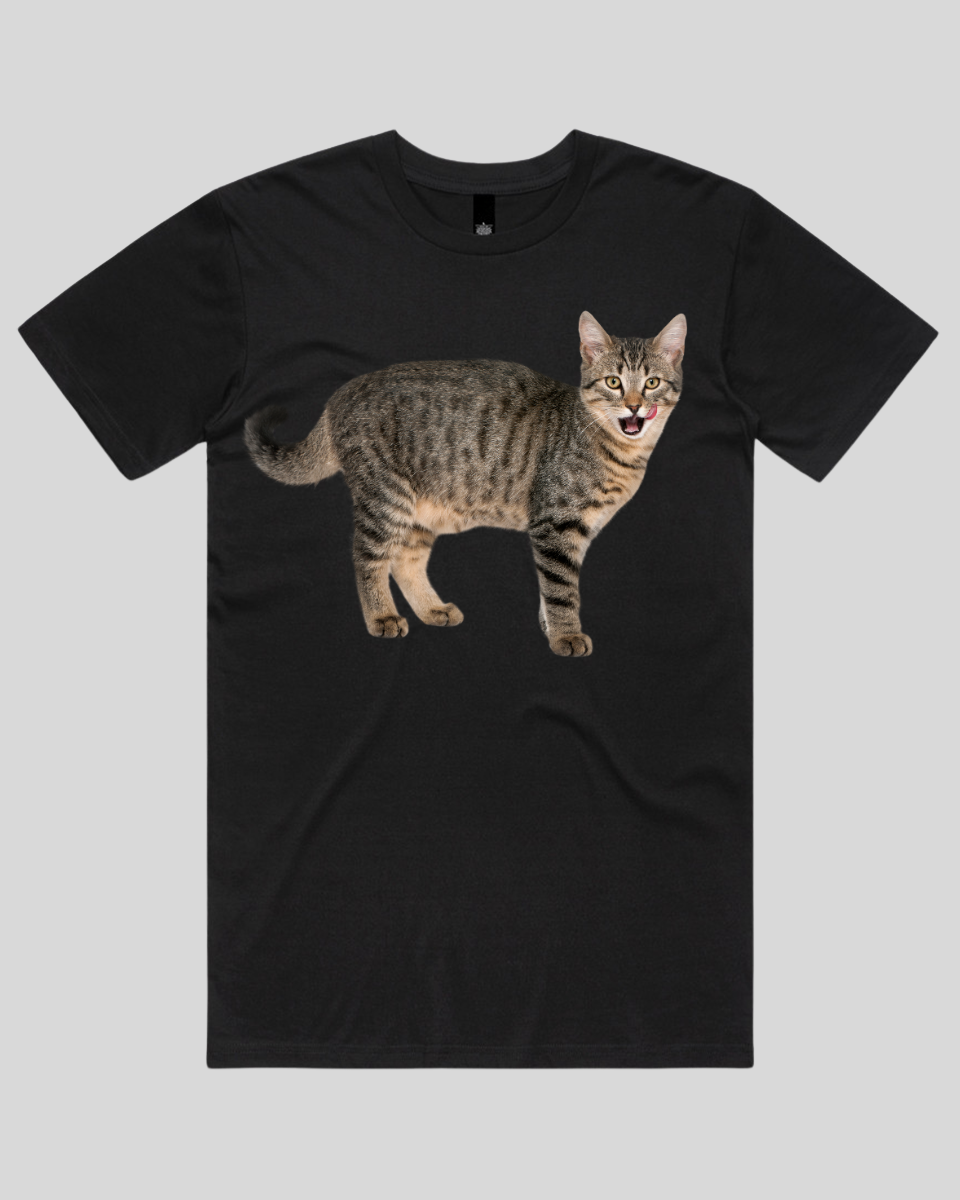 Hungry cat Women's T-Shirt