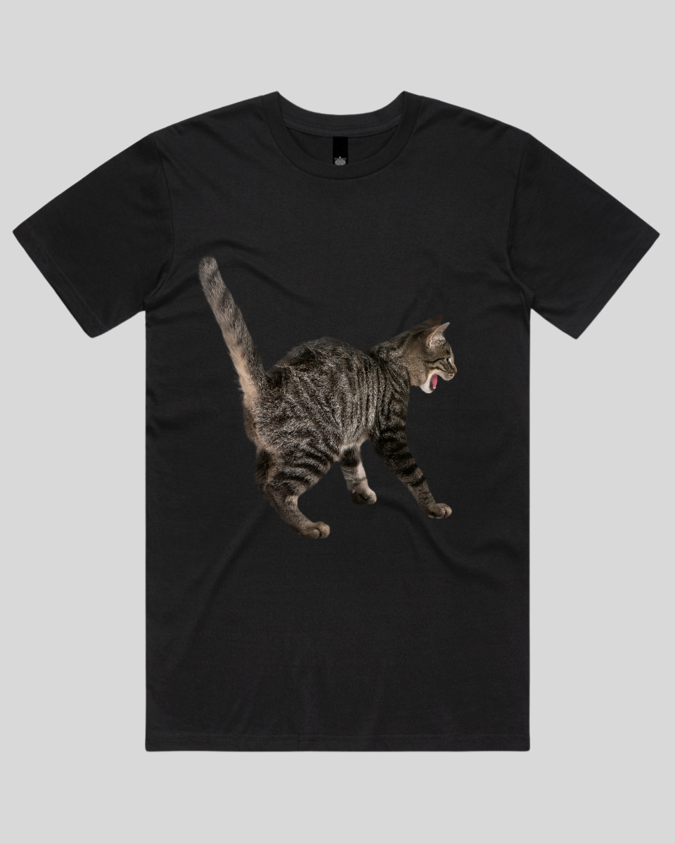 Scared Cat Women's T-Shirt