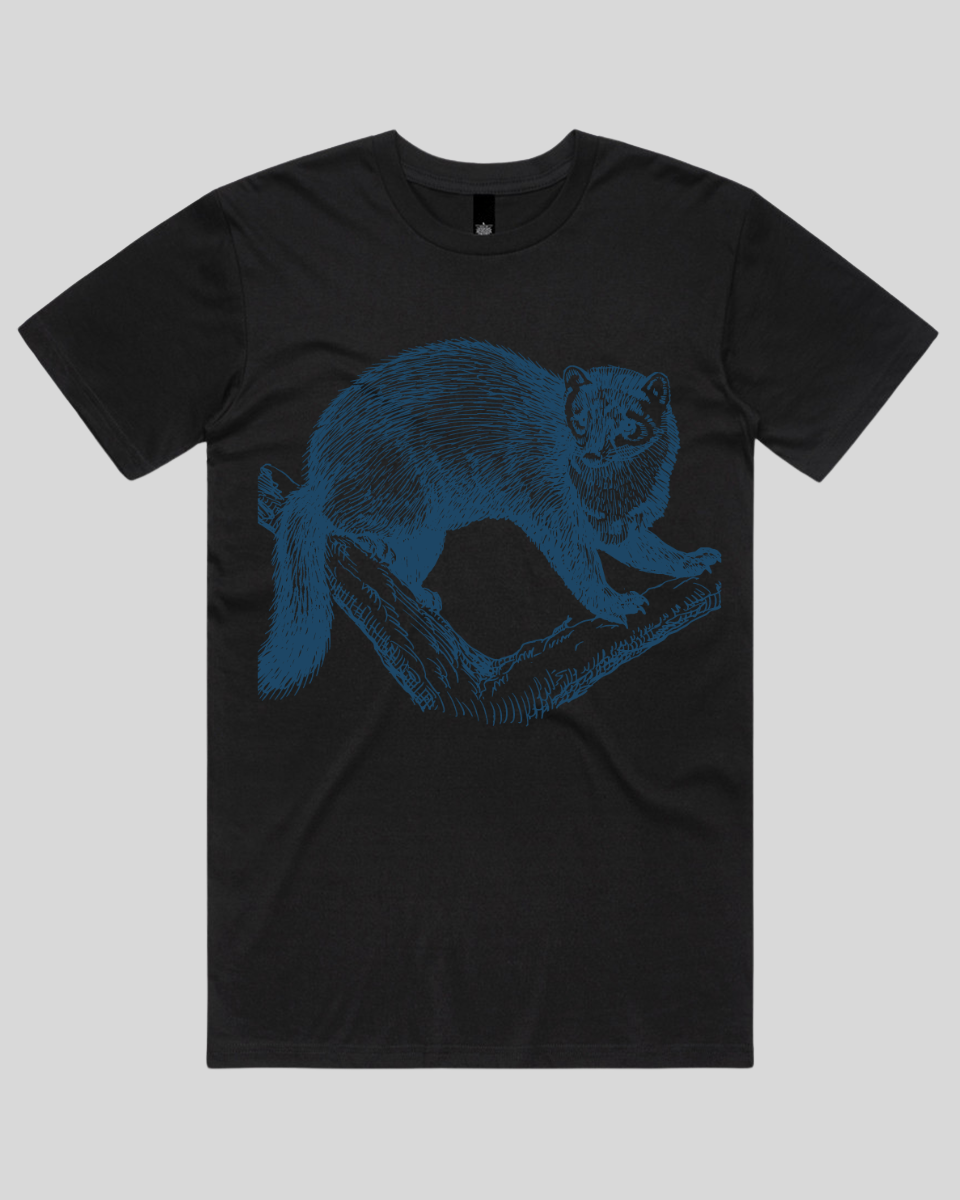 Wild Marten Women's T-Shirt