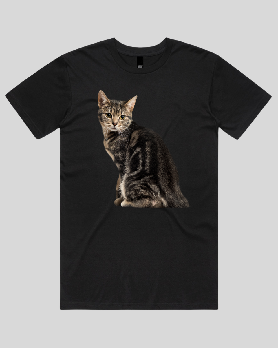 Cautious Cat Women's T-Shirt