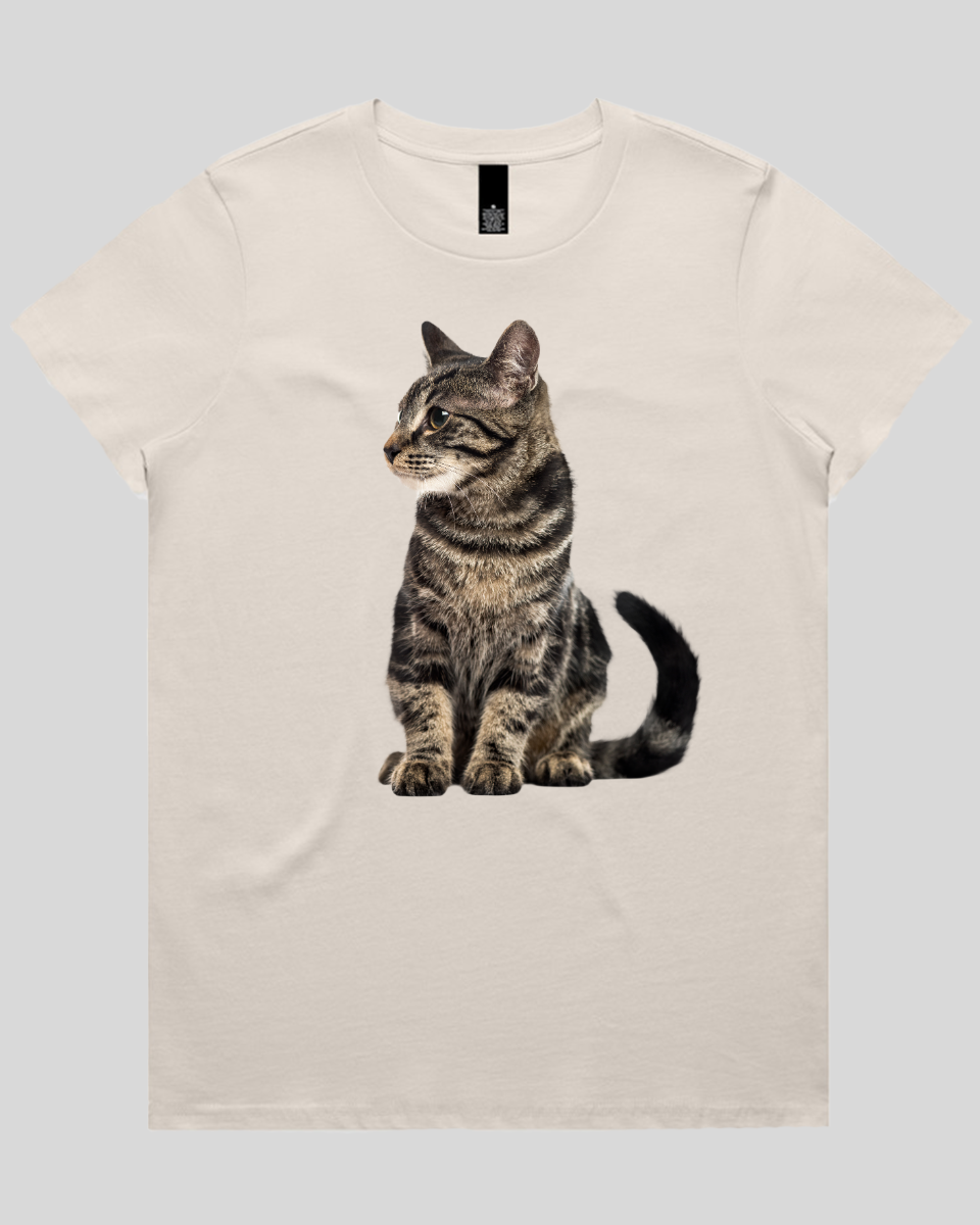 Alert Cat Women's T-Shirt