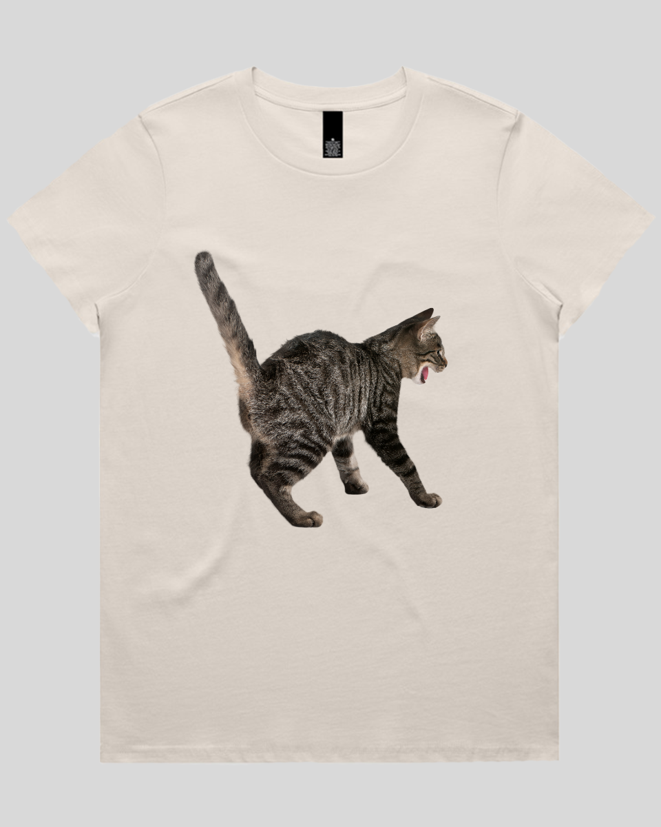 Scared Cat Women's T-Shirt
