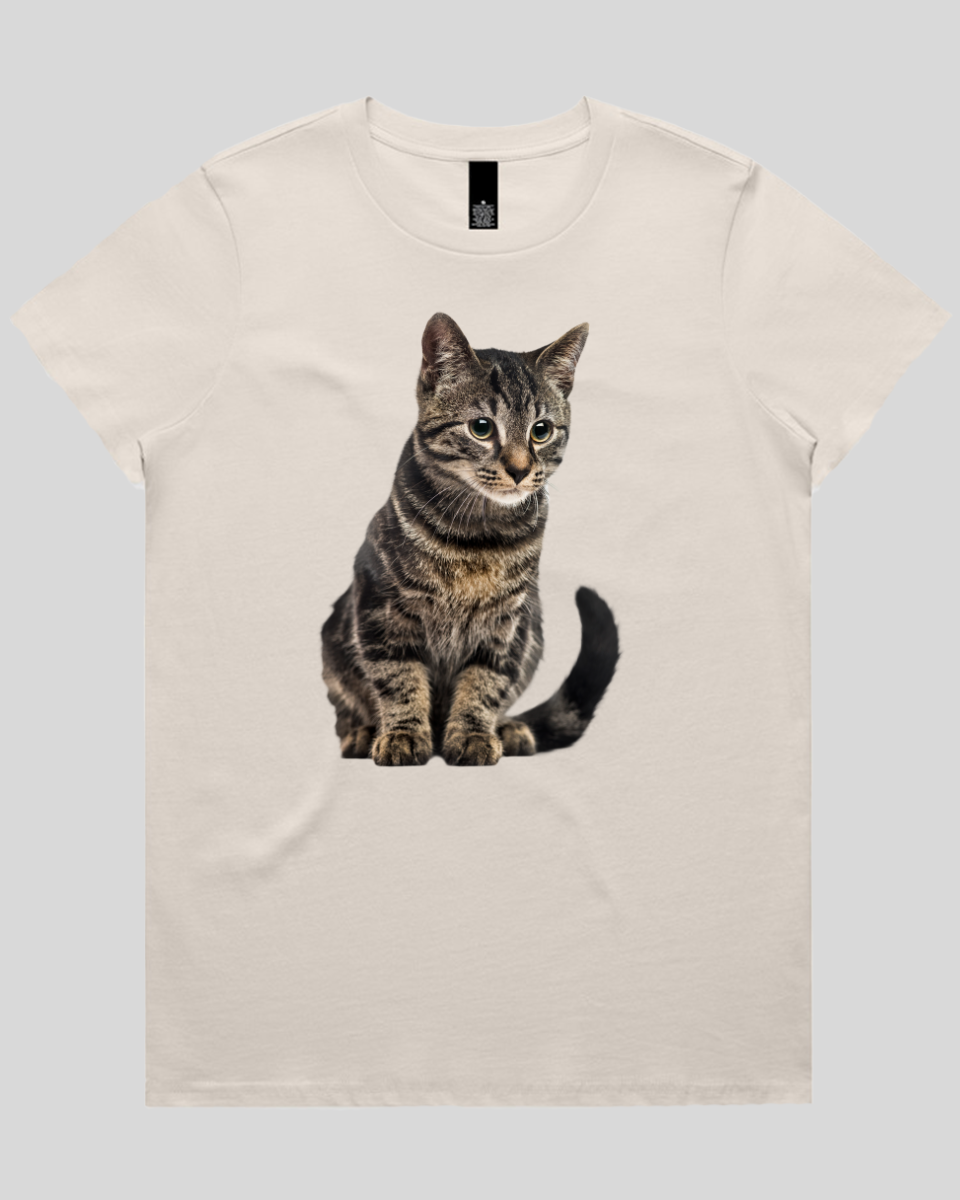 Focused Cat Women's T-Shirt