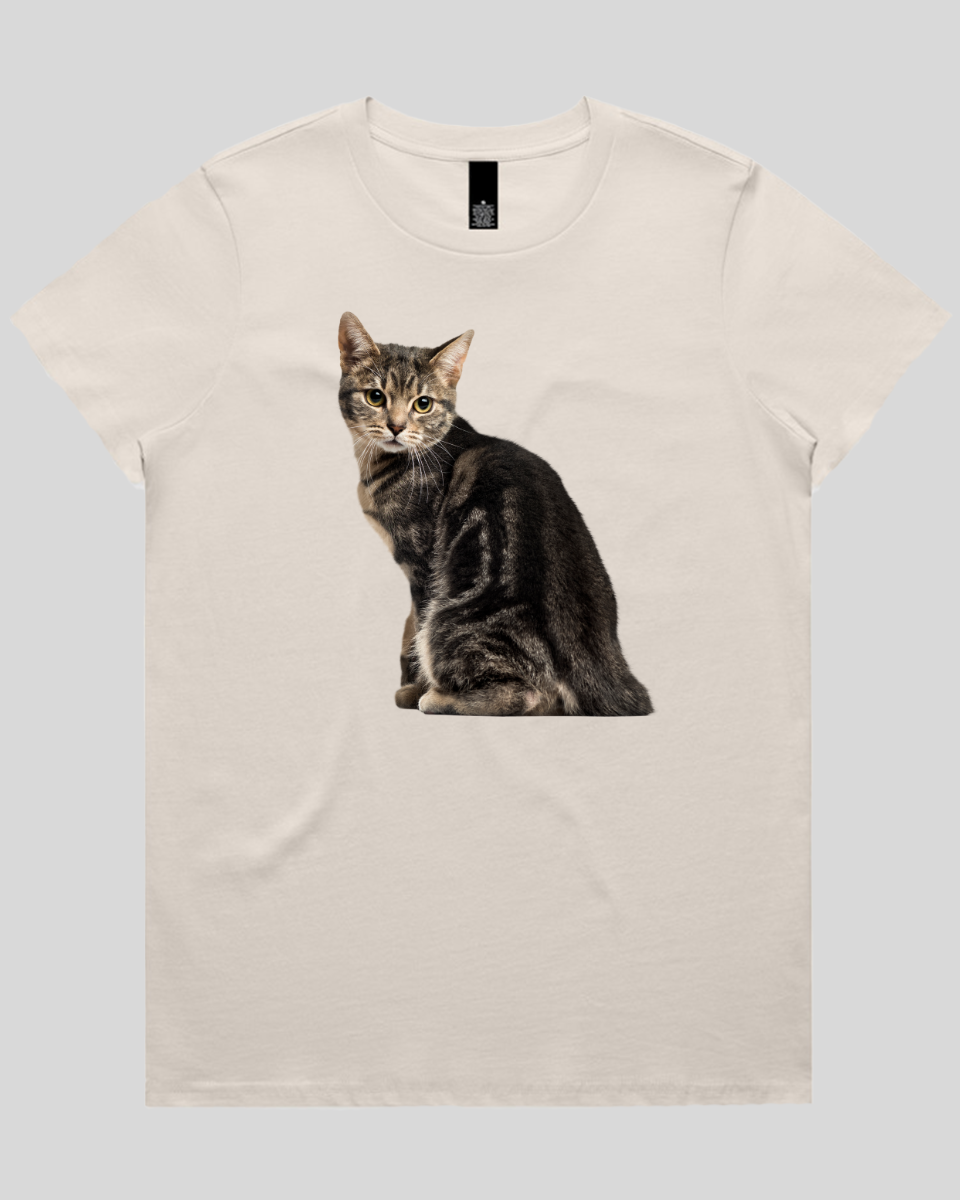 Cautious Cat Women's T-Shirt