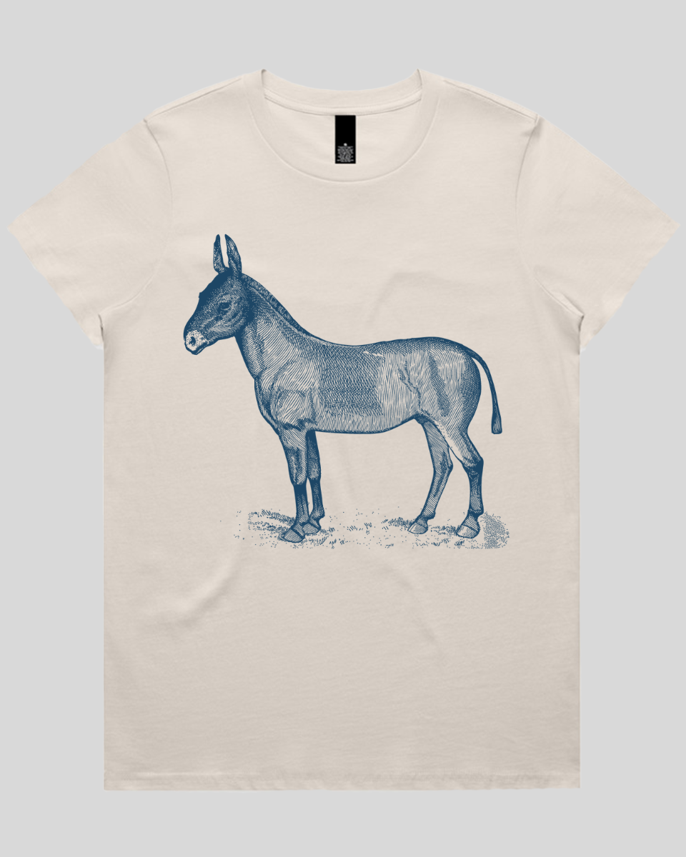 Donkey Drawing Women's T-Shirt