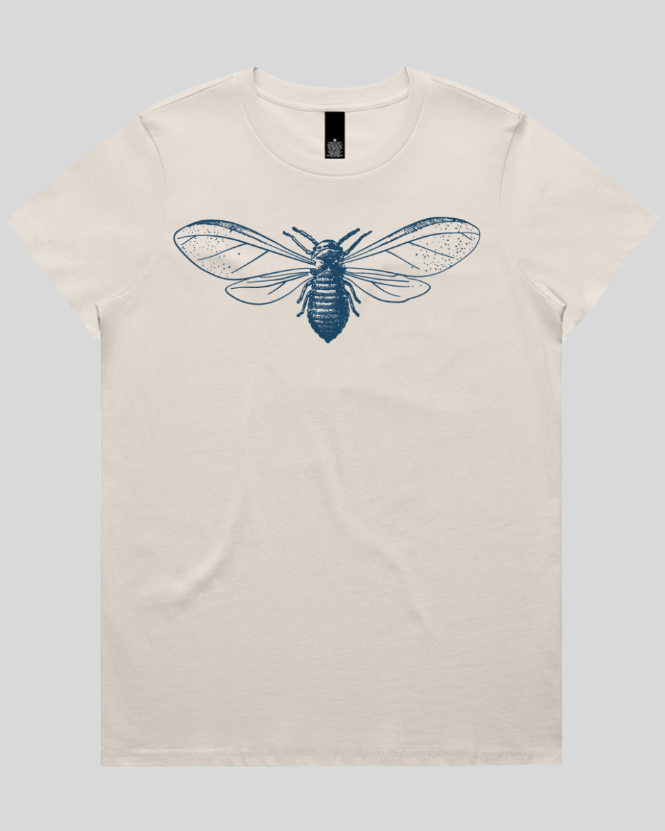 Detailed Moth Illustration Women's T-Shirt