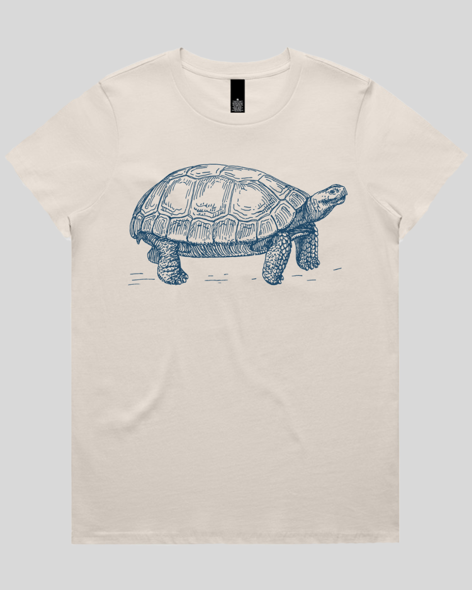Turtle Step Women's T-Shirt