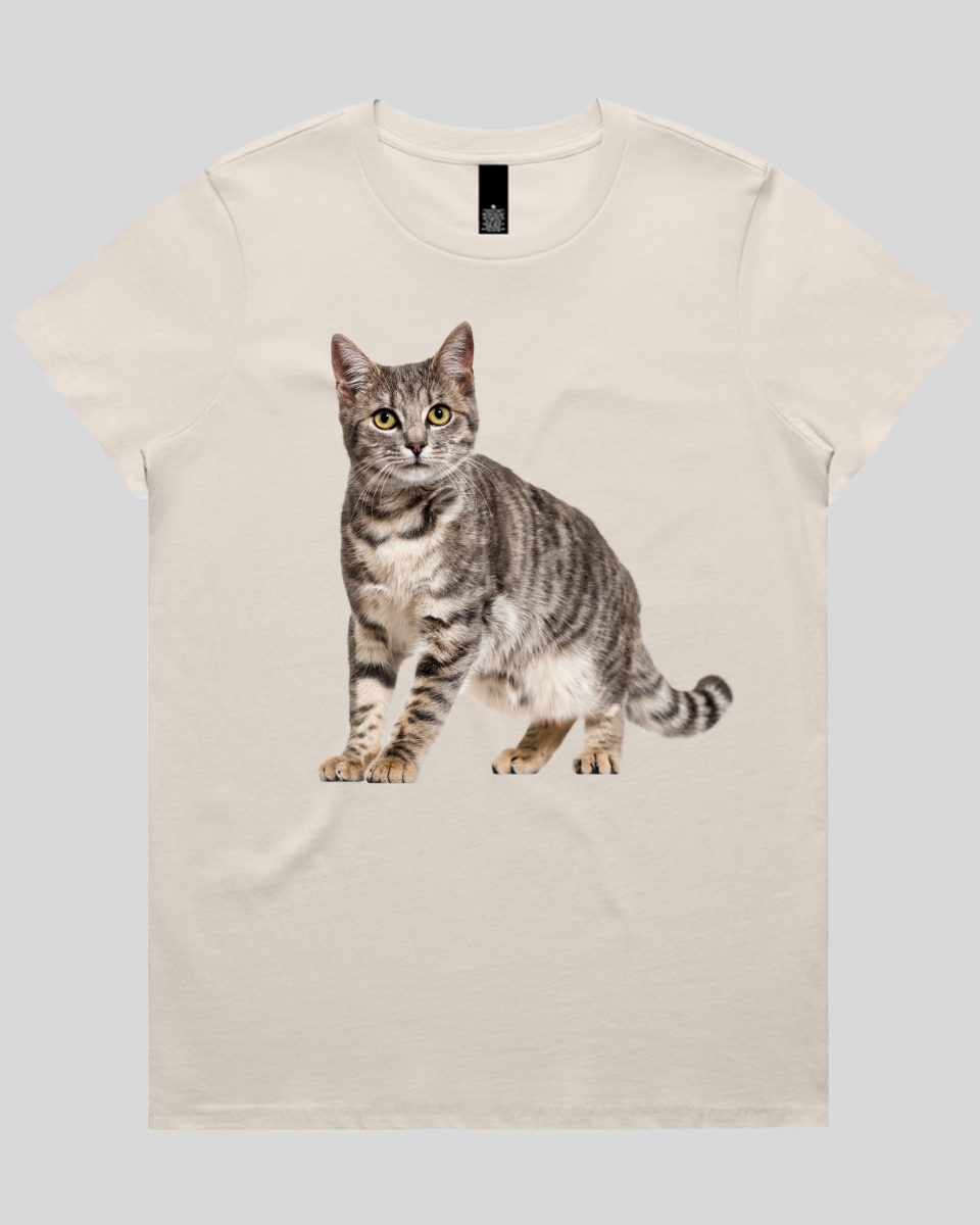Friendly Cat Women's T-Shirt