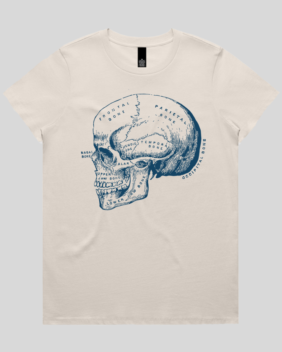 Blueprint Skull Women's T-Shirt