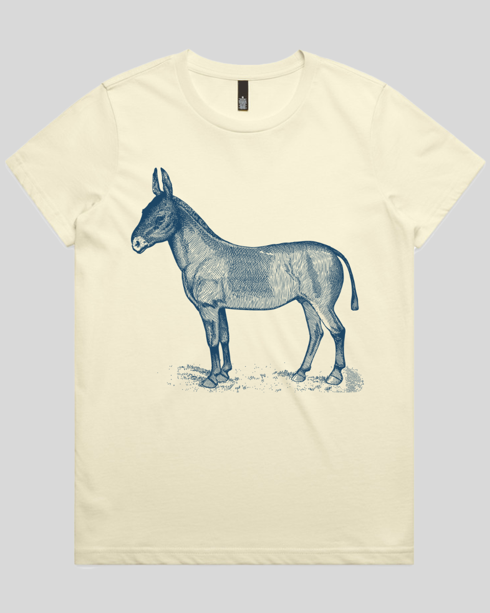 Donkey Drawing Women's T-Shirt