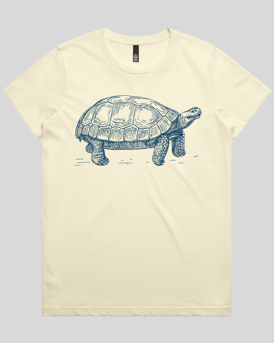Turtle Step Women's T-Shirt