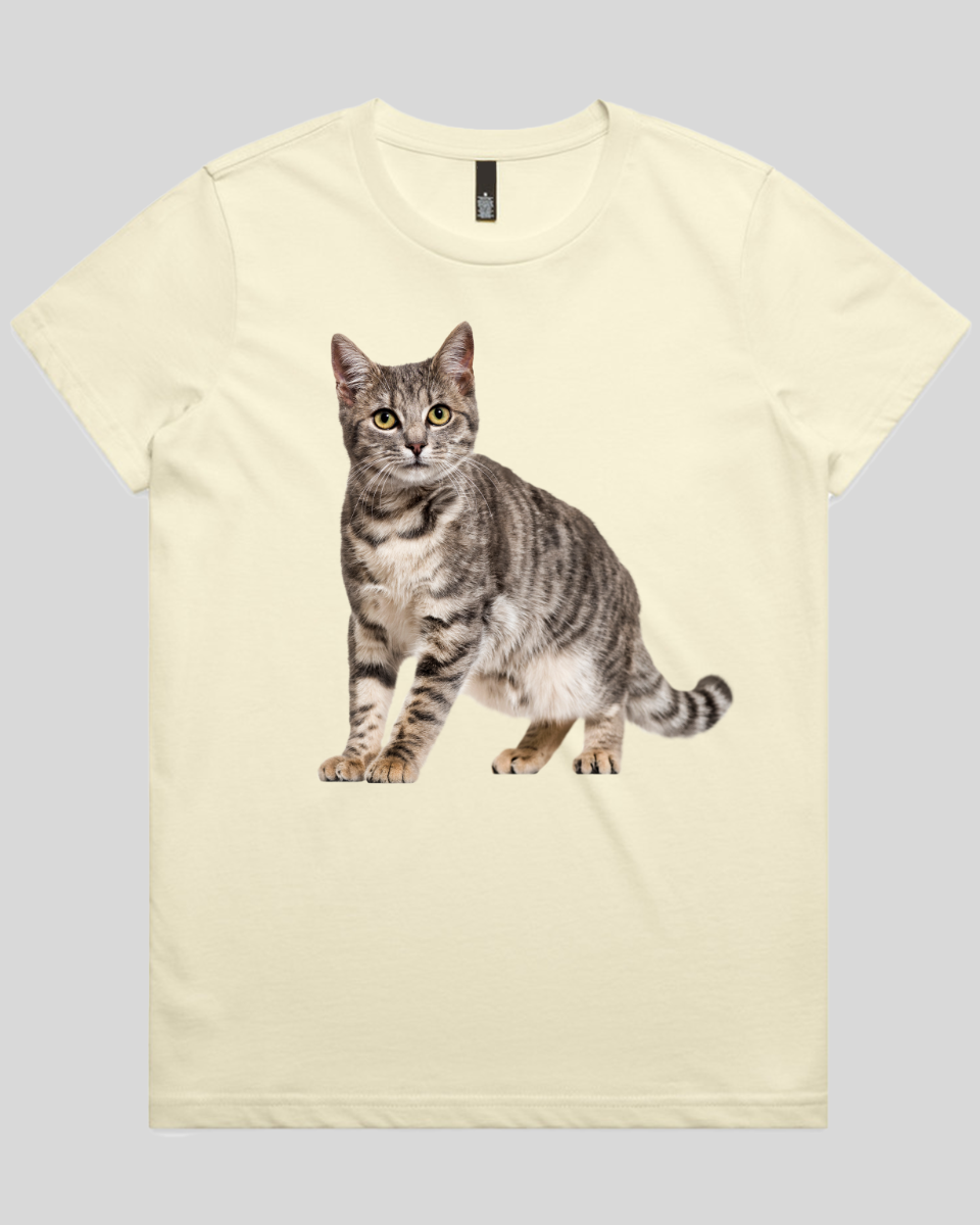 Friendly Cat Women's T-Shirt