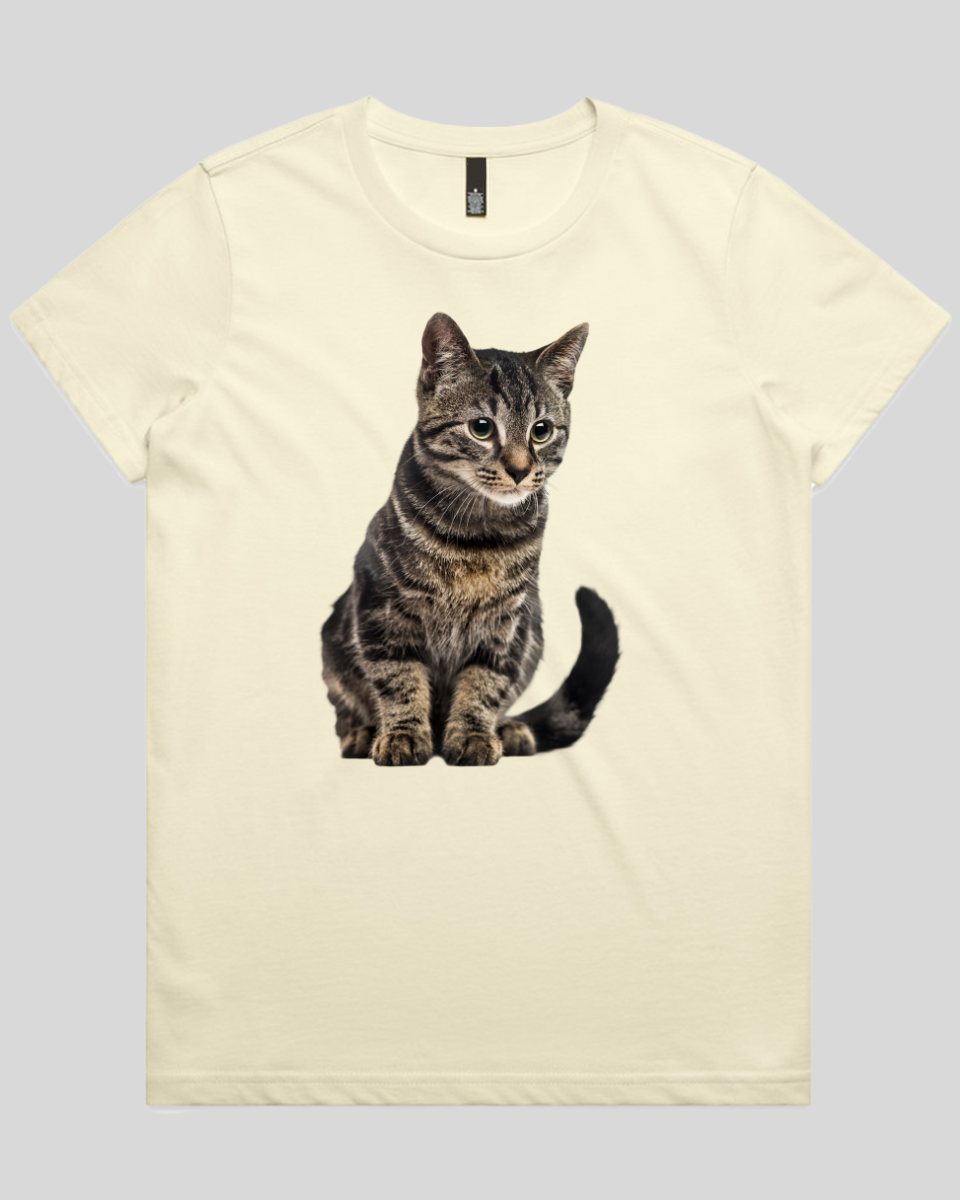 Focused Cat Women's T-Shirt