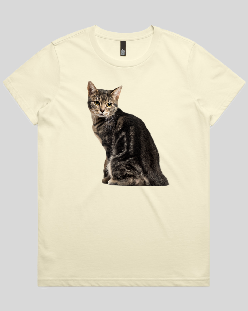 Cautious Cat Women's T-Shirt