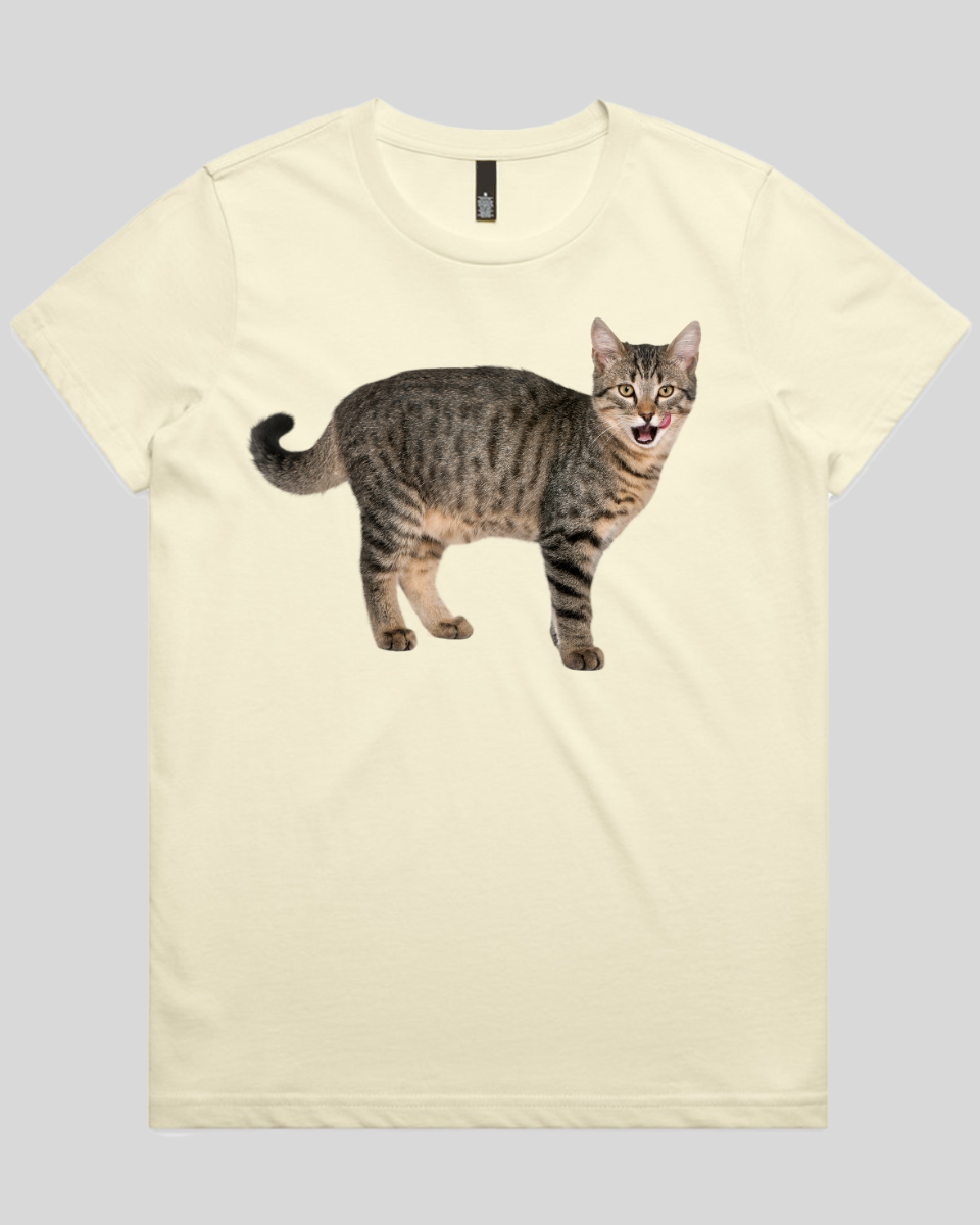 Hungry cat Women's T-Shirt