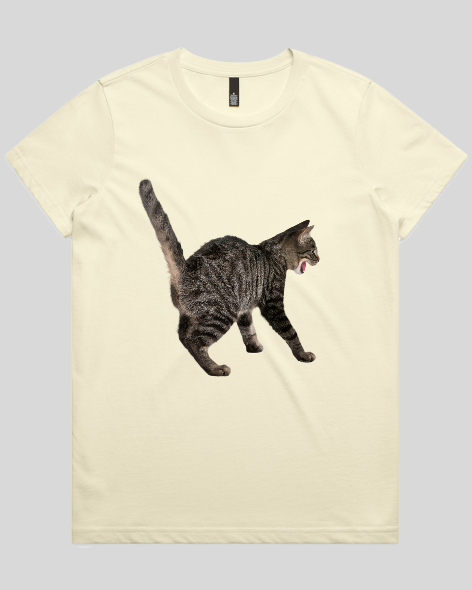 Scared Cat Women's T-Shirt