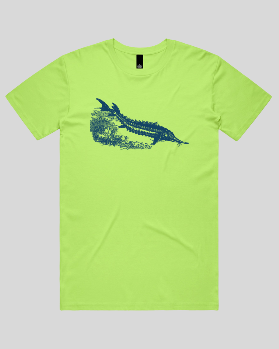 Ancient River Fish Men's T-Shirt