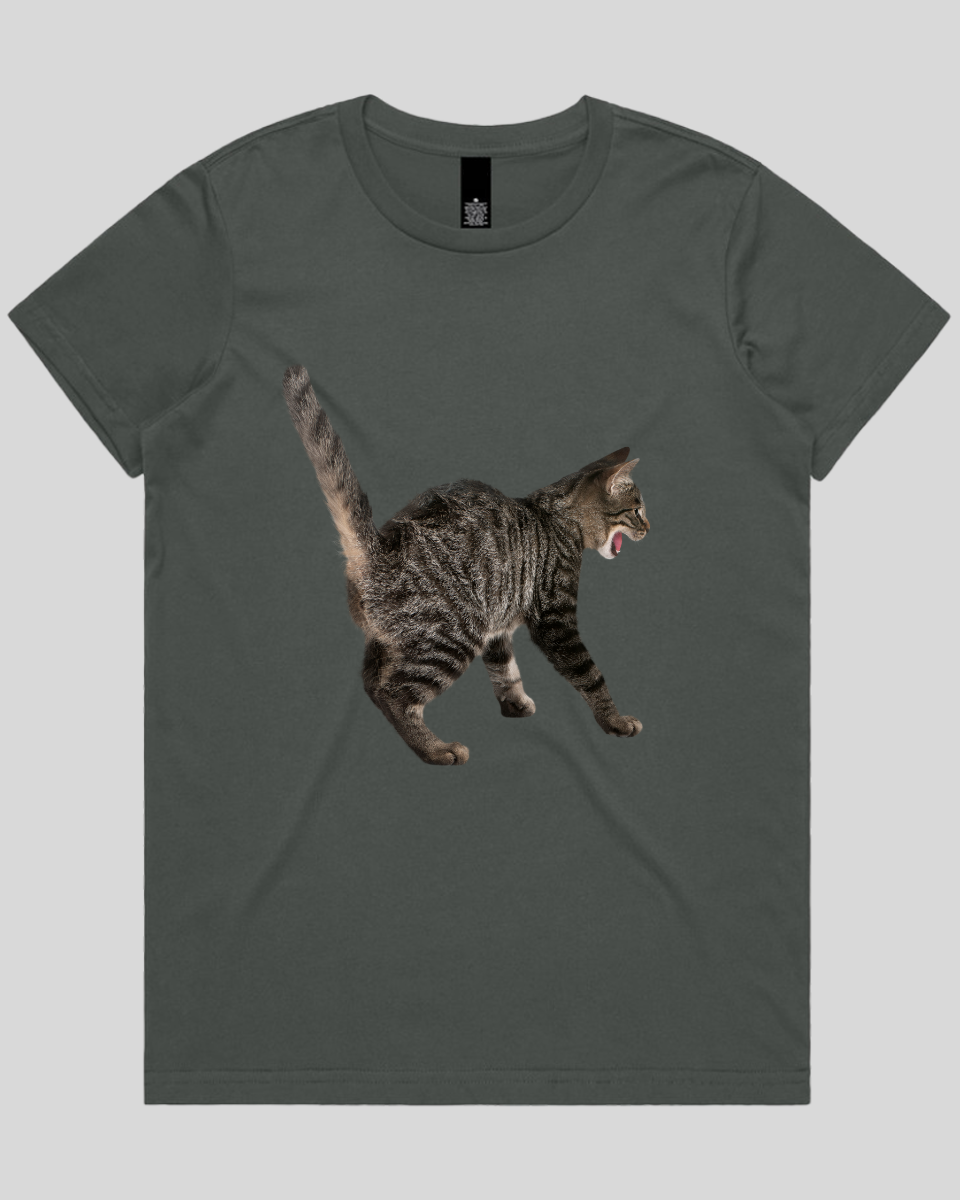 Scared Cat Women's T-Shirt