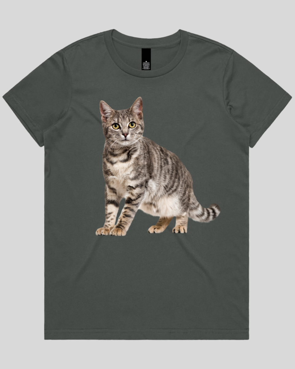 Friendly Cat Women's T-Shirt