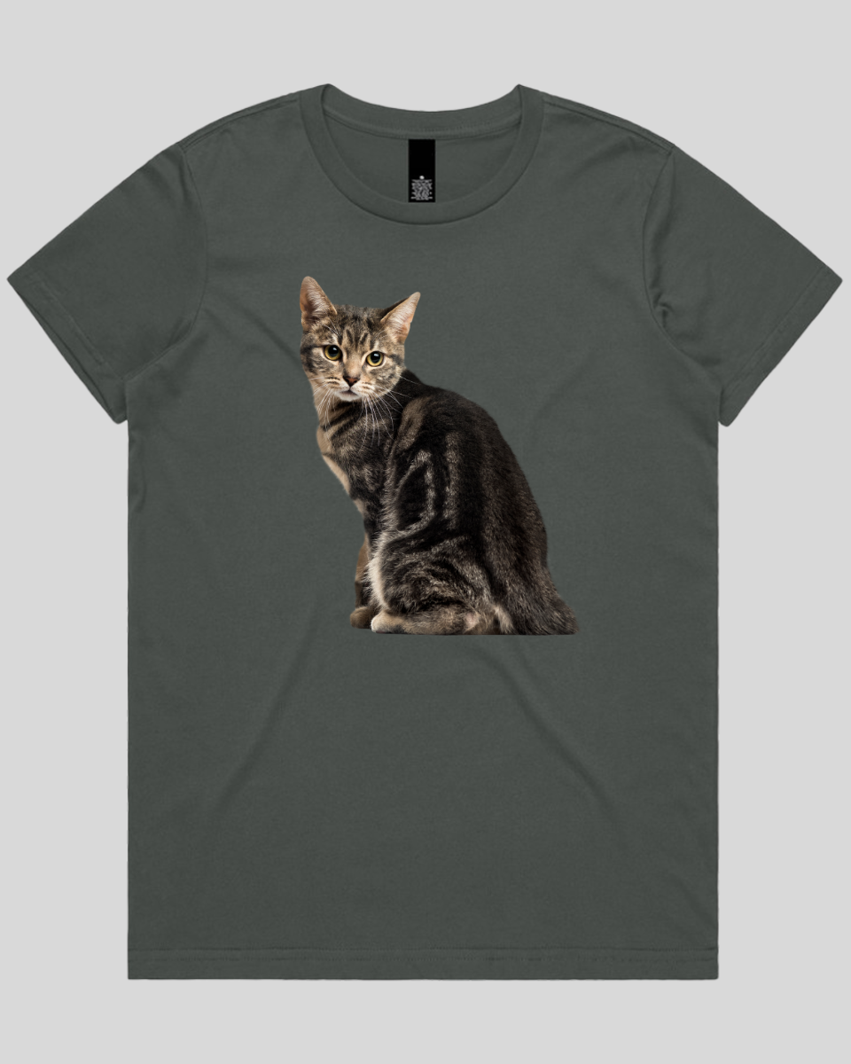Cautious Cat Women's T-Shirt