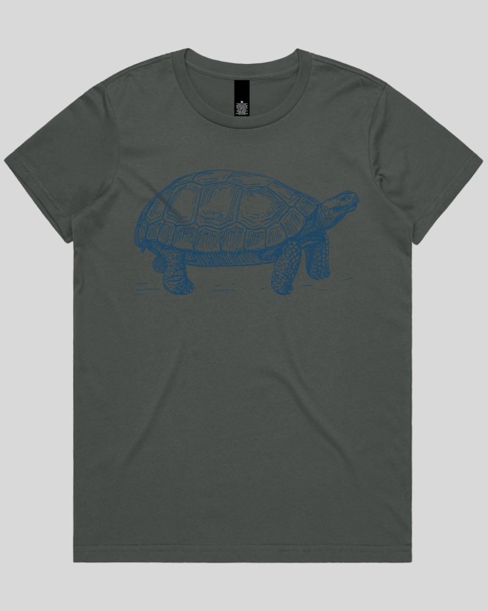 Turtle Step Women's T-Shirt