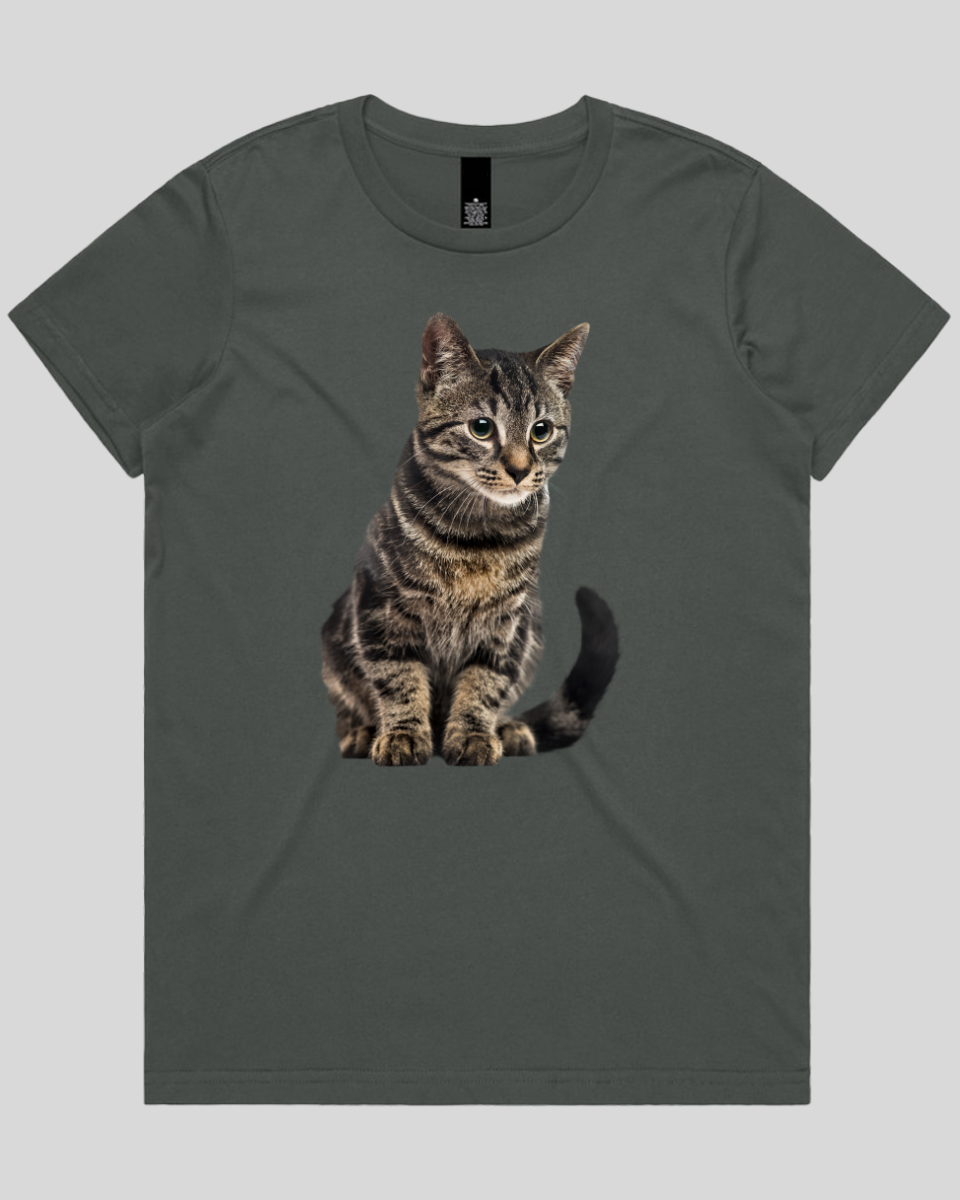 Focused Cat Women's T-Shirt