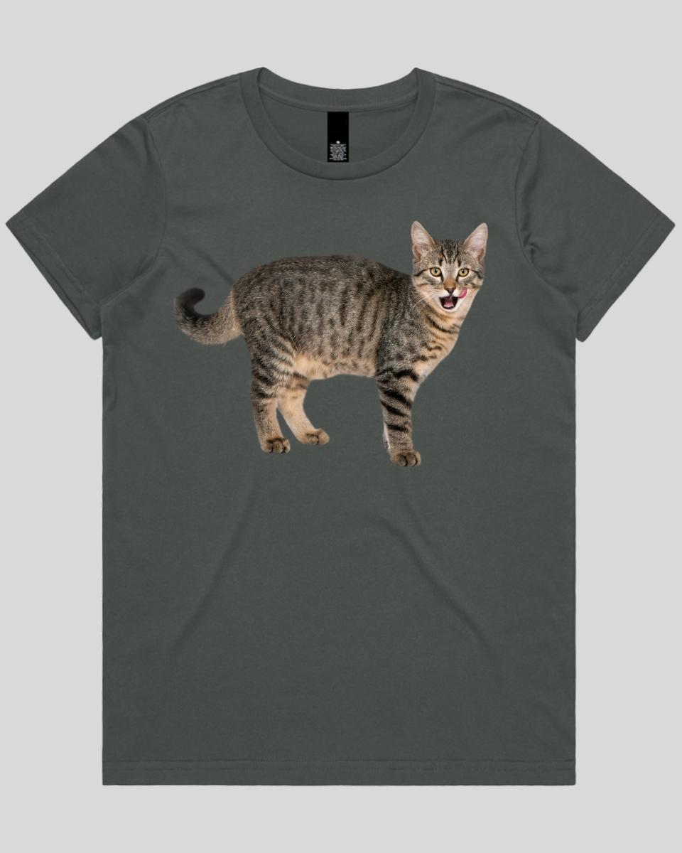 Hungry cat Women's T-Shirt